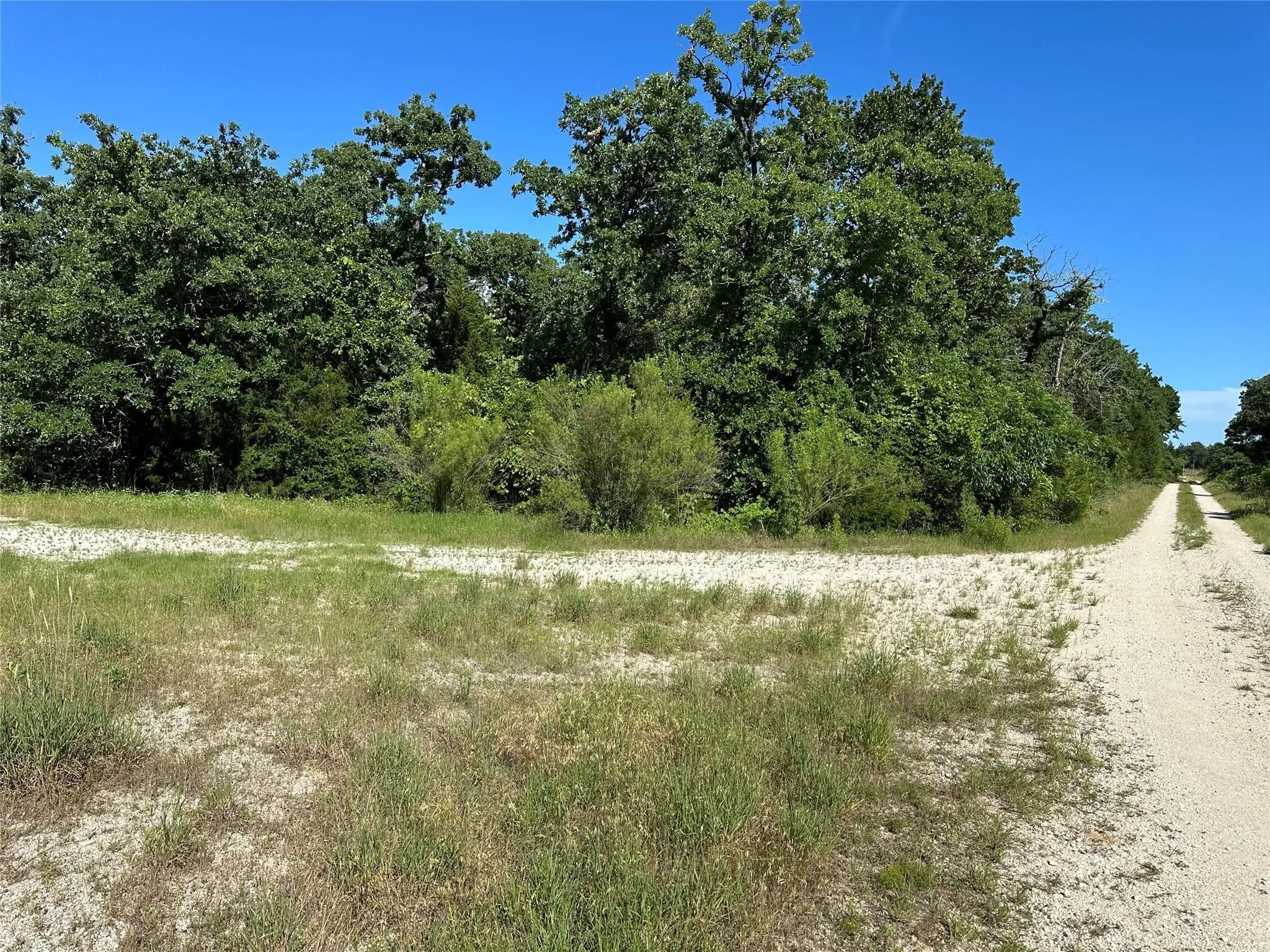 Unimproved Land For Sale in Freestone County , T.B.D. FCR 720, Teague, Texas 75860, 0, 0, Garage spaces, 0 Sqft, built in 0, mls#20997434, Real Estate Agent in Teague, Homes For Sale in Freestone county, Homes For Sale in Teague, Realtor in Teague Texas, Real Estate Brokerage Independent Realty Texas, Luminita Cordes Realtor