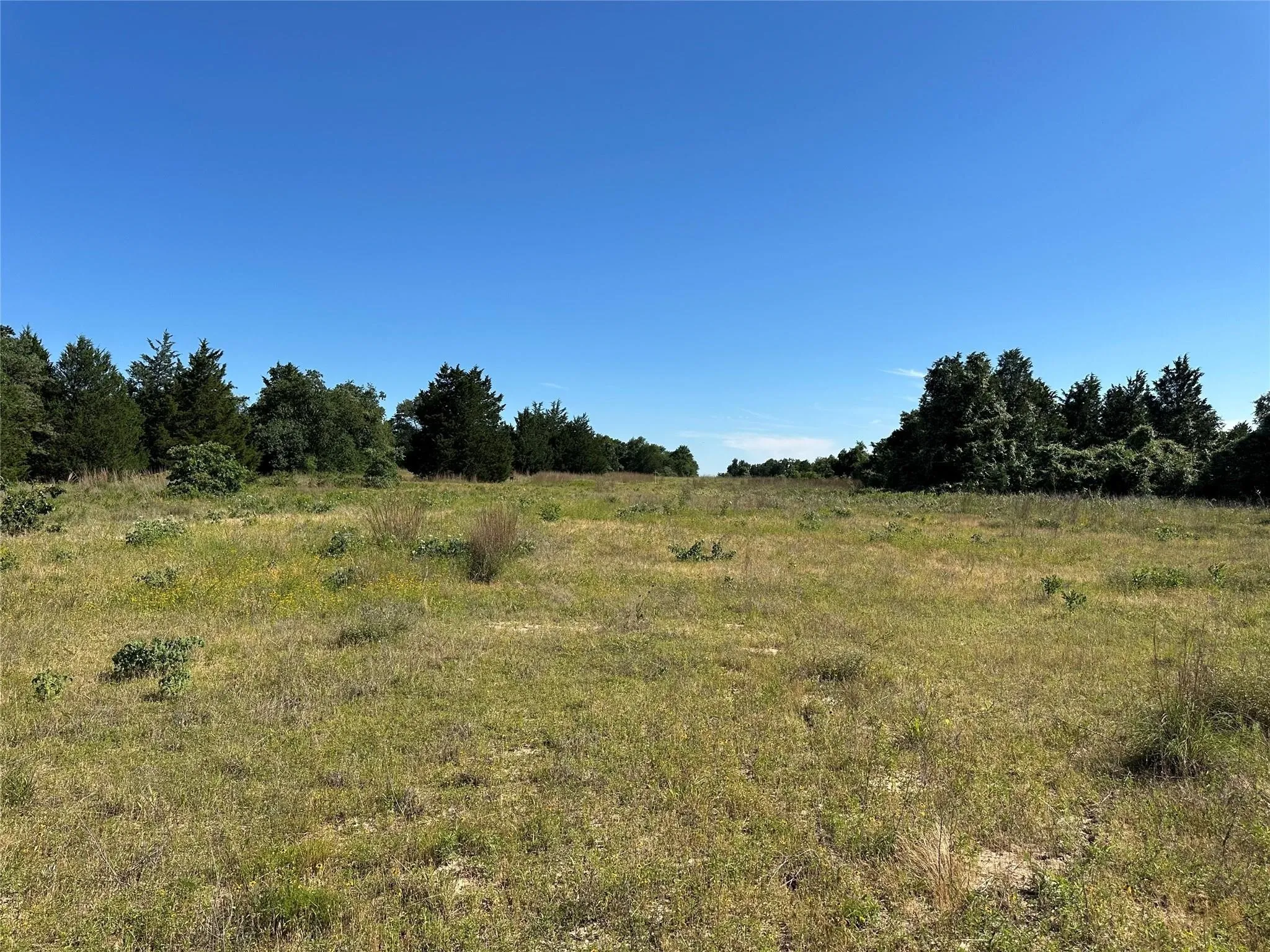 Unimproved Land For Sale in Freestone County , T.B.D. FCR 720, Teague, Texas 75860, 0, 0, Garage spaces, 0 Sqft, built in 0, mls#20997434, Real Estate Agent in Teague, Homes For Sale in Freestone county, Homes For Sale in Teague, Realtor in Teague Texas, Real Estate Brokerage Independent Realty Texas, Luminita Cordes Realtor