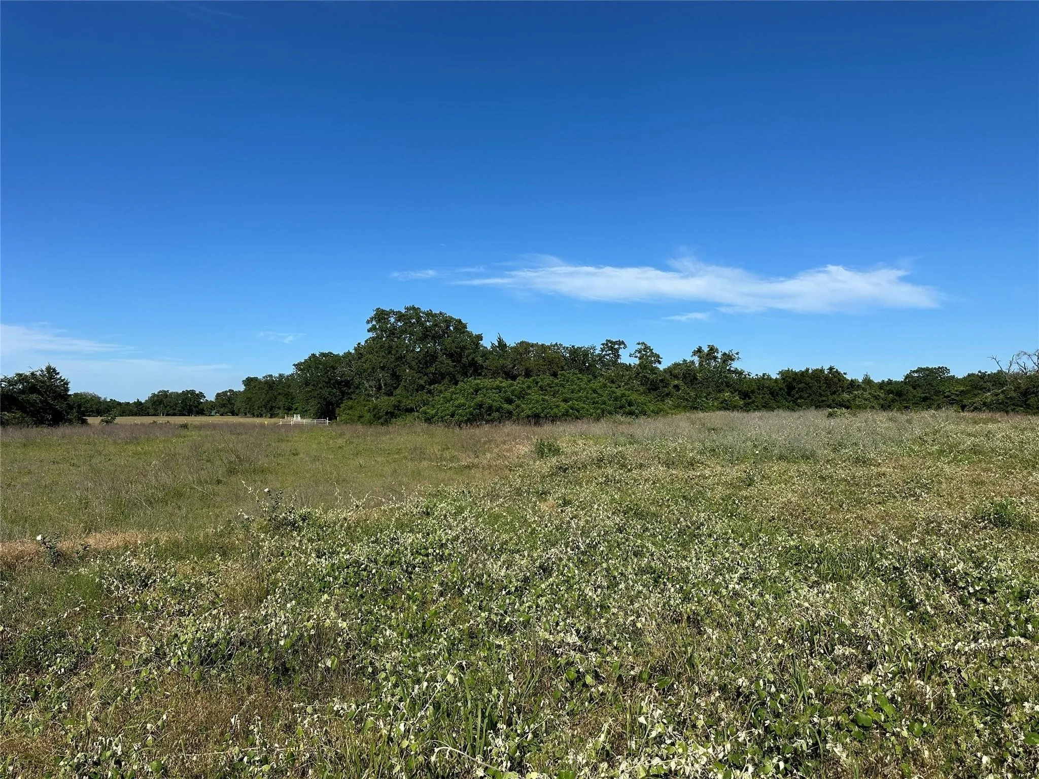 Unimproved Land For Sale in Freestone County , T.B.D. FCR 720, Teague, Texas 75860, 0, 0, Garage spaces, 0 Sqft, built in 0, mls#20997434, Real Estate Agent in Teague, Homes For Sale in Freestone county, Homes For Sale in Teague, Realtor in Teague Texas, Real Estate Brokerage Independent Realty Texas, Luminita Cordes Realtor