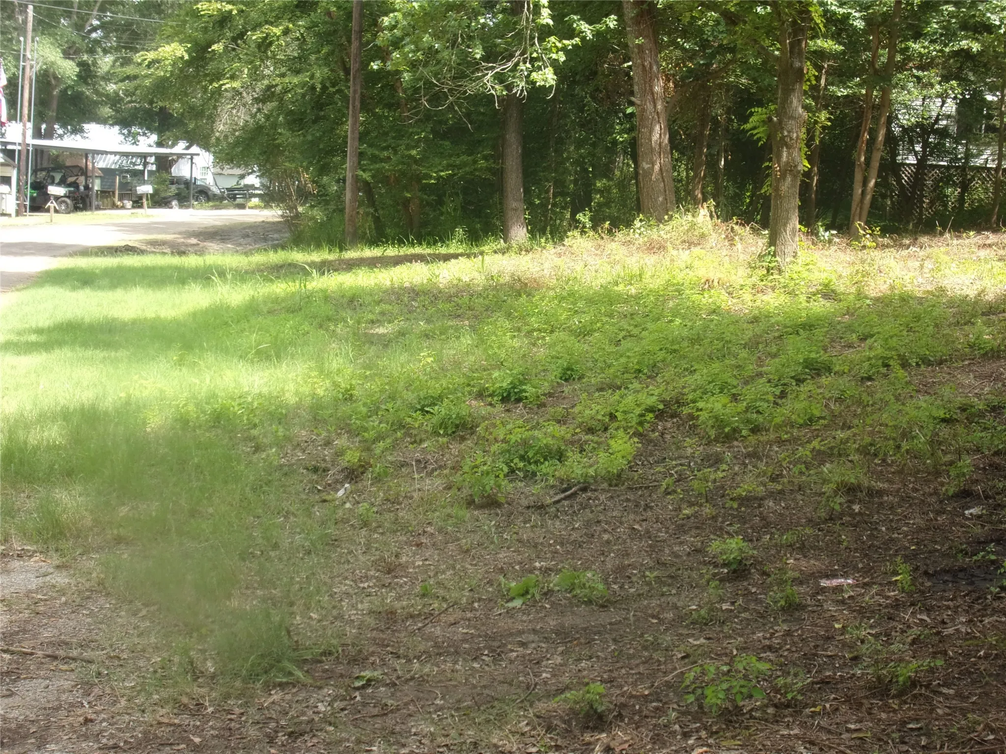 View of front of lot near the street