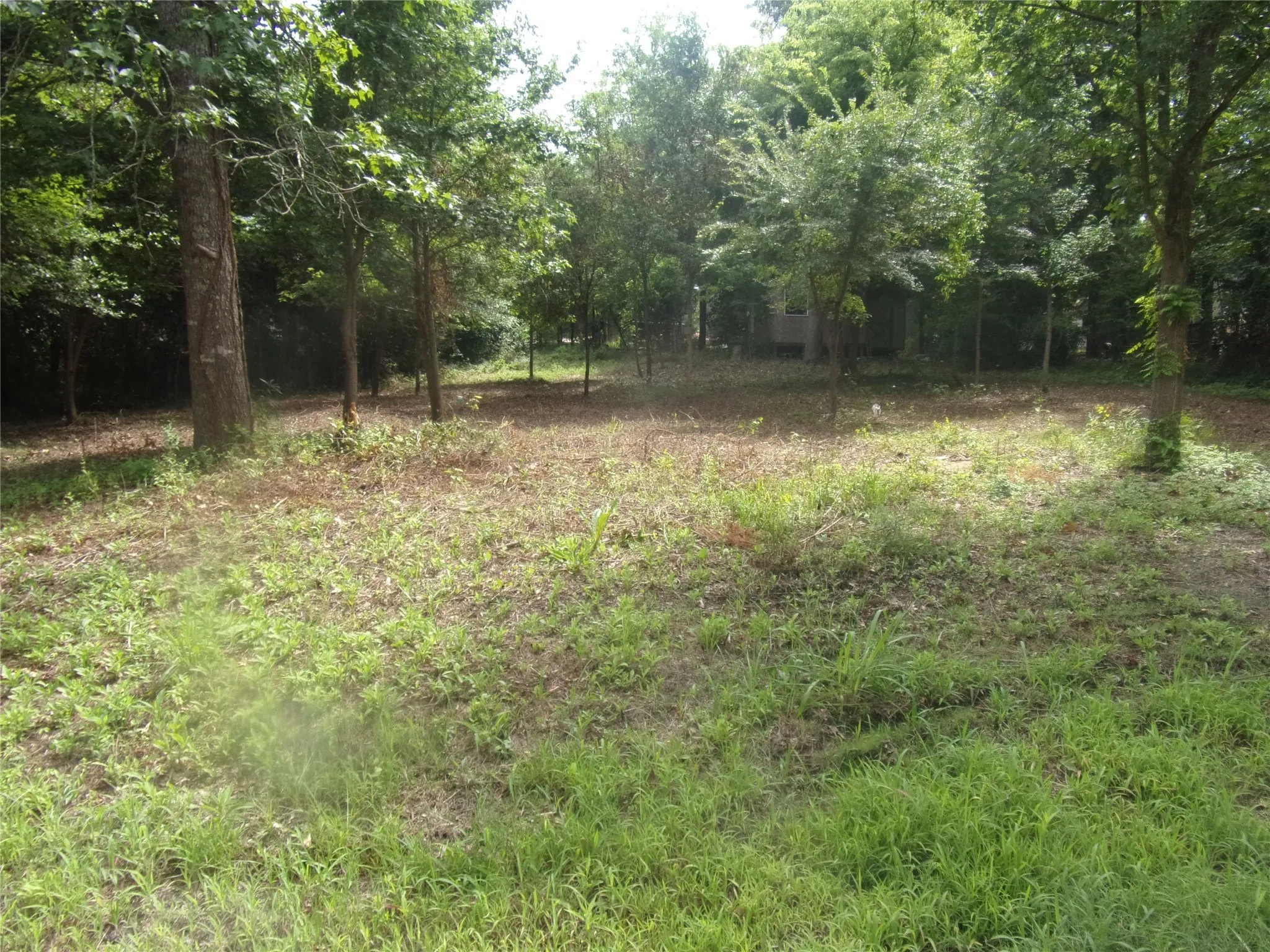 Improved Land For Sale in Van Zandt County , 751 Dogwood Trail, Murchison, Texas 75778, 0, 0, Garage spaces, 0 Sqft, built in 0, mls#20991871, Real Estate Agent in Murchison, Homes For Sale in Van Zandt county, Homes For Sale in Murchison, Realtor in Murchison Texas, Real Estate Brokerage Independent Realty Texas, Luminita Cordes Realtor