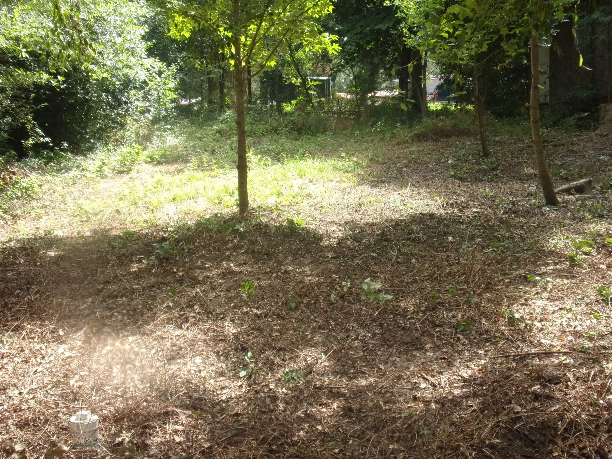 View of lot with nice trees