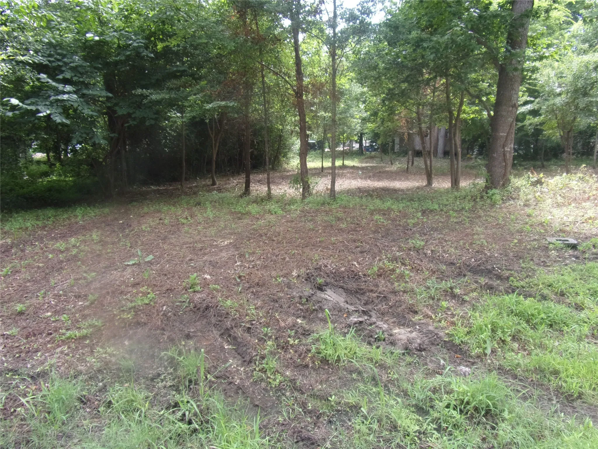 View of .361 acre lots