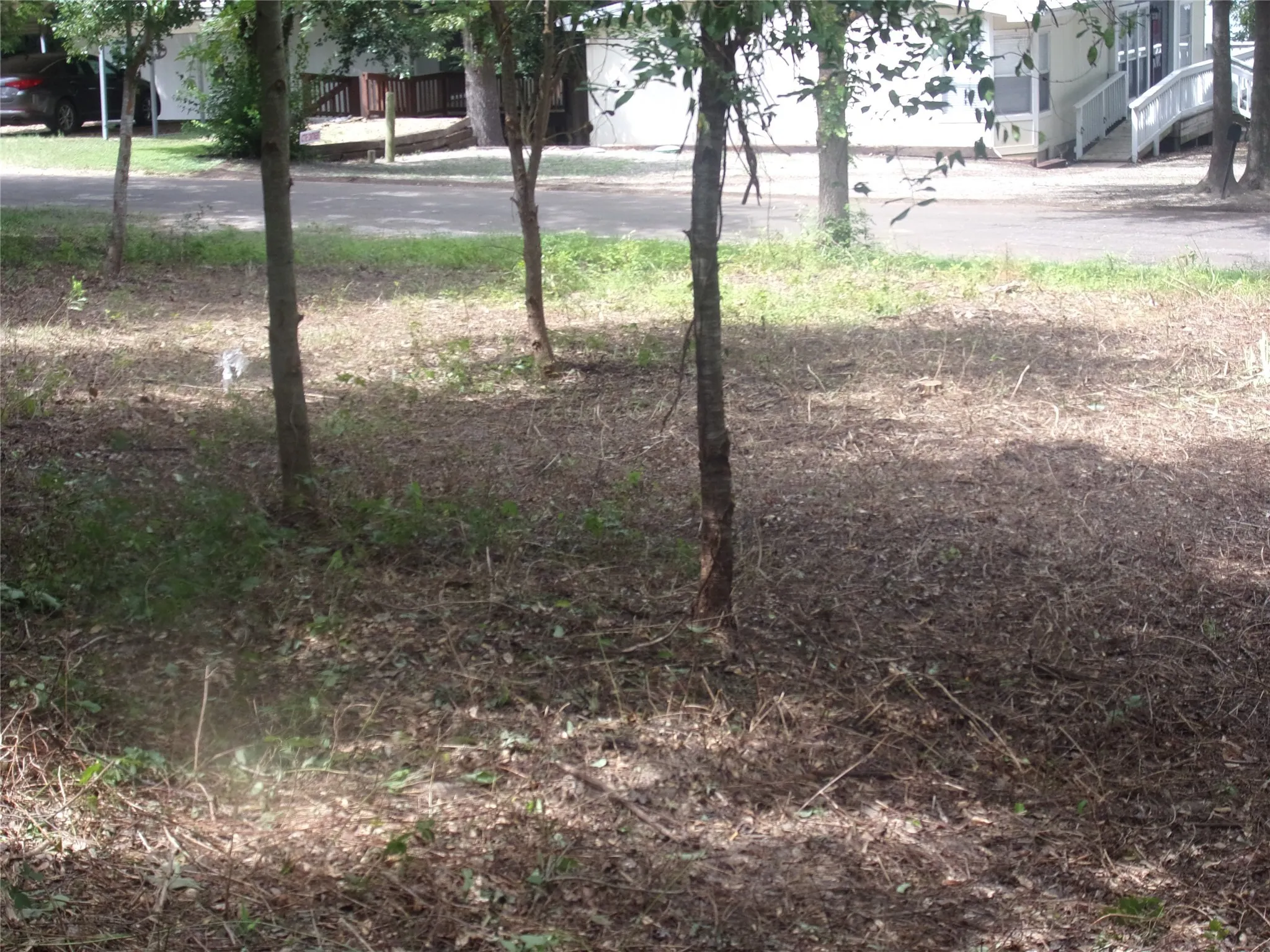 View of yard as you view toward the street