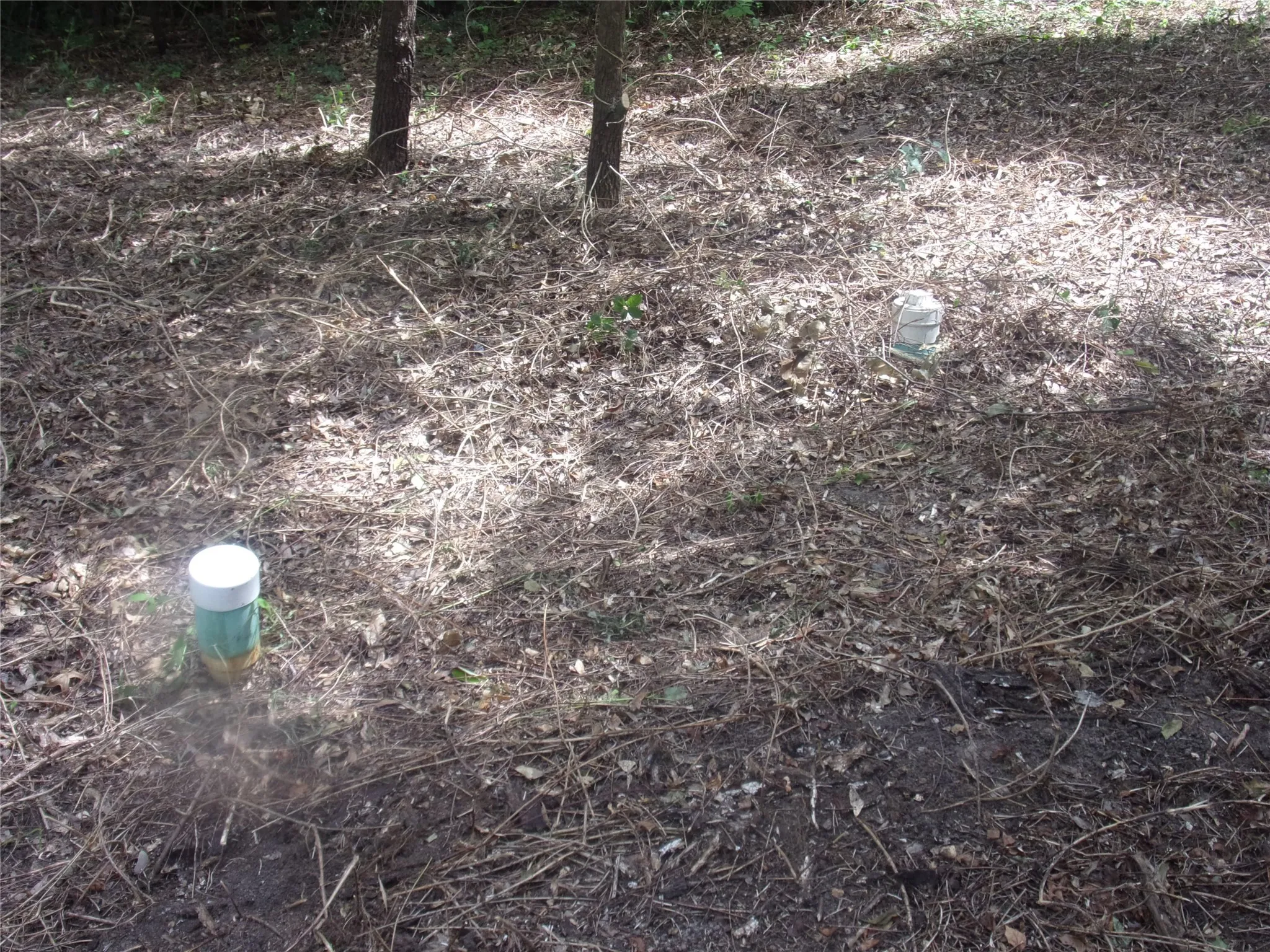 older septic system on the property