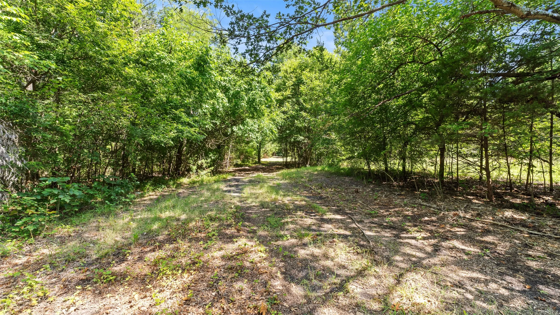 Unimproved Land For Sale in Hopkins County , 289 County Road 4586, Sulphur Springs, Texas 75482, 0, 0, Garage spaces, 0 Sqft, built in 0, Price $520,000, mls#20998497, Real Estate Agent in Sulphur Springs, Homes For Sale in Hopkins county, Homes For Sale in Sulphur Springs, Realtor in Sulphur Springs Texas, Real Estate Brokerage Independent Realty Texas, Luminita Cordes Realtor
