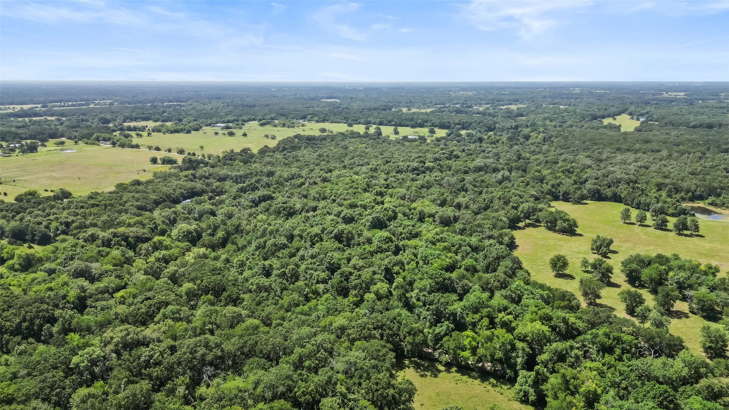 Unimproved Land For Sale in Hopkins County , 289 County Road 4586, Sulphur Springs, Texas 75482, 0, 0, Garage spaces, 0 Sqft, built in 0, Price $520,000, mls#20998497, Real Estate Agent in Sulphur Springs, Homes For Sale in Hopkins county, Homes For Sale in Sulphur Springs, Realtor in Sulphur Springs Texas, Real Estate Brokerage Independent Realty Texas, Luminita Cordes Realtor
