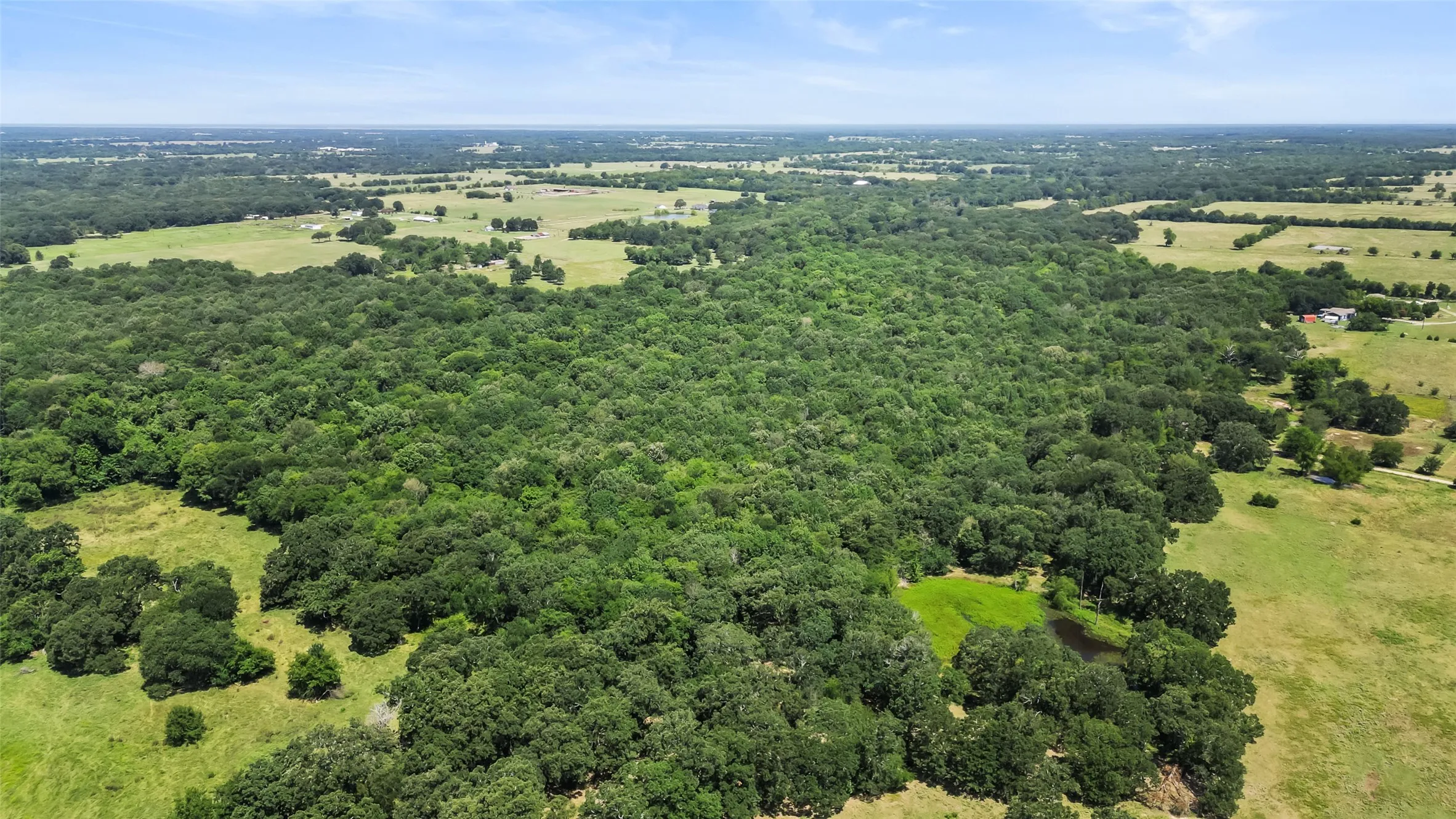 Unimproved Land For Sale in Hopkins County , 289 County Road 4586, Sulphur Springs, Texas 75482, 0, 0, Garage spaces, 0 Sqft, built in 0, Price $520,000, mls#20998497, Real Estate Agent in Sulphur Springs, Homes For Sale in Hopkins county, Homes For Sale in Sulphur Springs, Realtor in Sulphur Springs Texas, Real Estate Brokerage Independent Realty Texas, Luminita Cordes Realtor