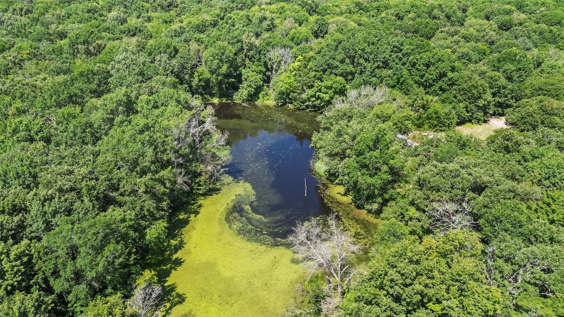 Unimproved Land For Sale in Hopkins County , 289 County Road 4586, Sulphur Springs, Texas 75482, 0, 0, Garage spaces, 0 Sqft, built in 0, Price $520,000, mls#20998497, Real Estate Agent in Sulphur Springs, Homes For Sale in Hopkins county, Homes For Sale in Sulphur Springs, Realtor in Sulphur Springs Texas, Real Estate Brokerage Independent Realty Texas, Luminita Cordes Realtor