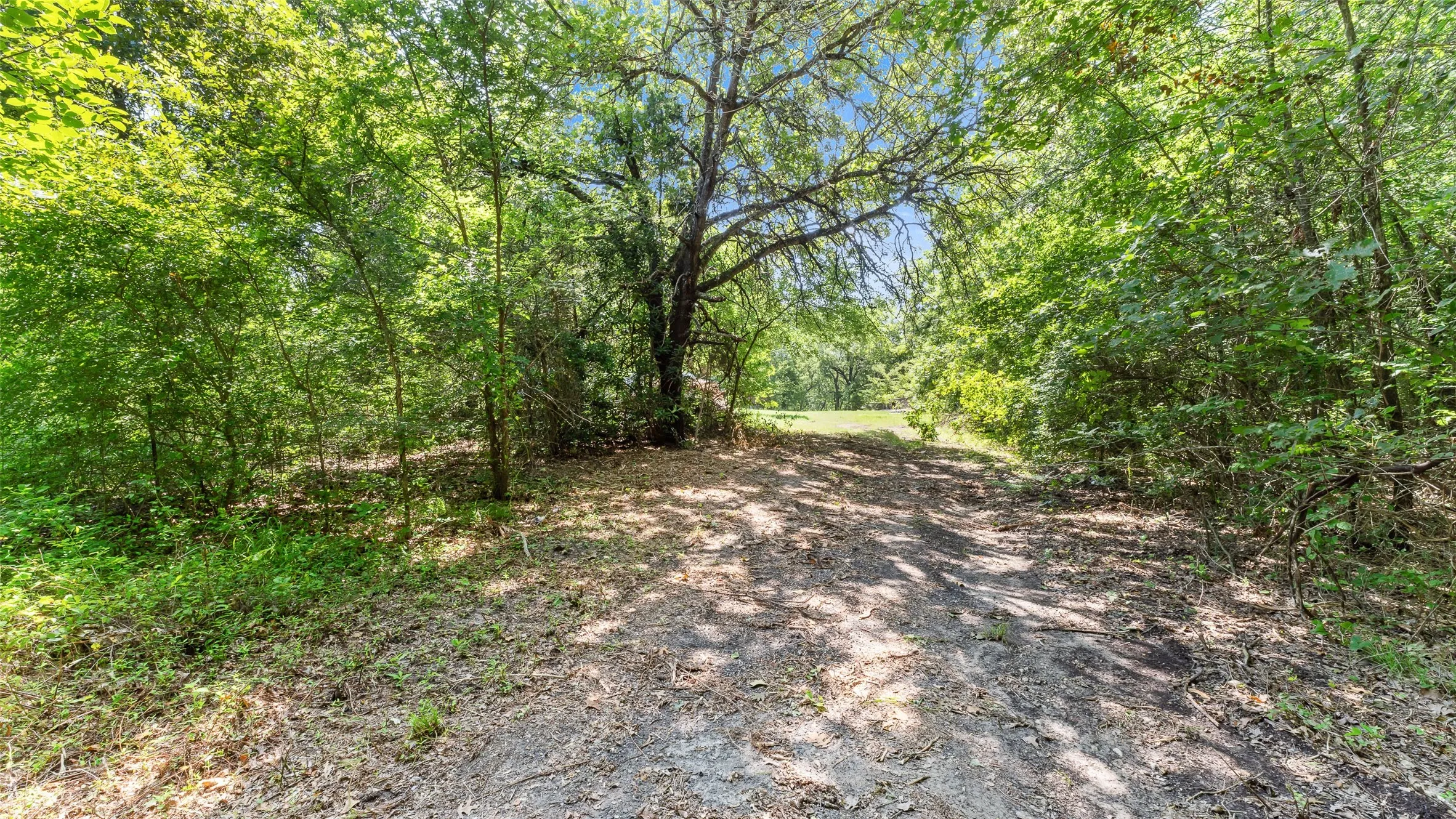 Unimproved Land For Sale in Hopkins County , 289 County Road 4586, Sulphur Springs, Texas 75482, 0, 0, Garage spaces, 0 Sqft, built in 0, Price $520,000, mls#20998497, Real Estate Agent in Sulphur Springs, Homes For Sale in Hopkins county, Homes For Sale in Sulphur Springs, Realtor in Sulphur Springs Texas, Real Estate Brokerage Independent Realty Texas, Luminita Cordes Realtor