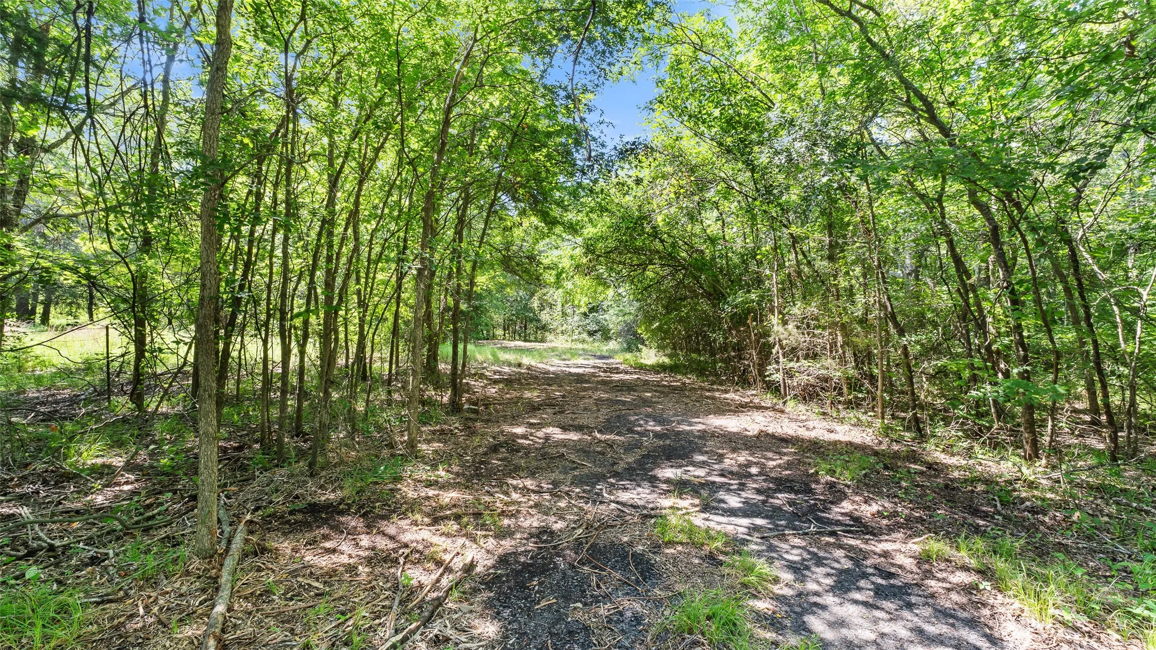 Unimproved Land For Sale in Hopkins County , 289 County Road 4586, Sulphur Springs, Texas 75482, 0, 0, Garage spaces, 0 Sqft, built in 0, Price $520,000, mls#20998497, Real Estate Agent in Sulphur Springs, Homes For Sale in Hopkins county, Homes For Sale in Sulphur Springs, Realtor in Sulphur Springs Texas, Real Estate Brokerage Independent Realty Texas, Luminita Cordes Realtor