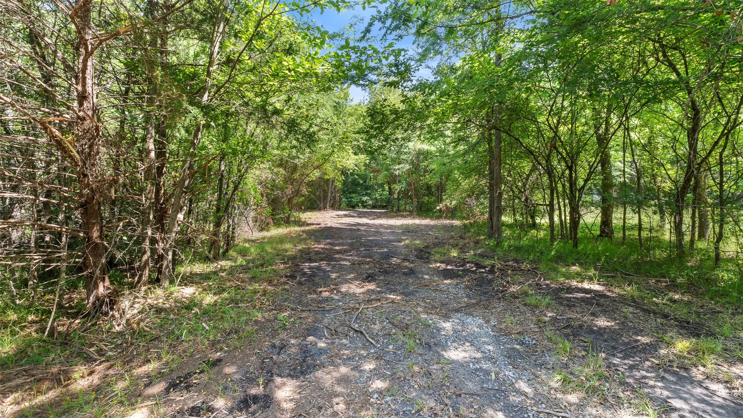 Unimproved Land For Sale in Hopkins County , 289 County Road 4586, Sulphur Springs, Texas 75482, 0, 0, Garage spaces, 0 Sqft, built in 0, Price $520,000, mls#20998497, Real Estate Agent in Sulphur Springs, Homes For Sale in Hopkins county, Homes For Sale in Sulphur Springs, Realtor in Sulphur Springs Texas, Real Estate Brokerage Independent Realty Texas, Luminita Cordes Realtor