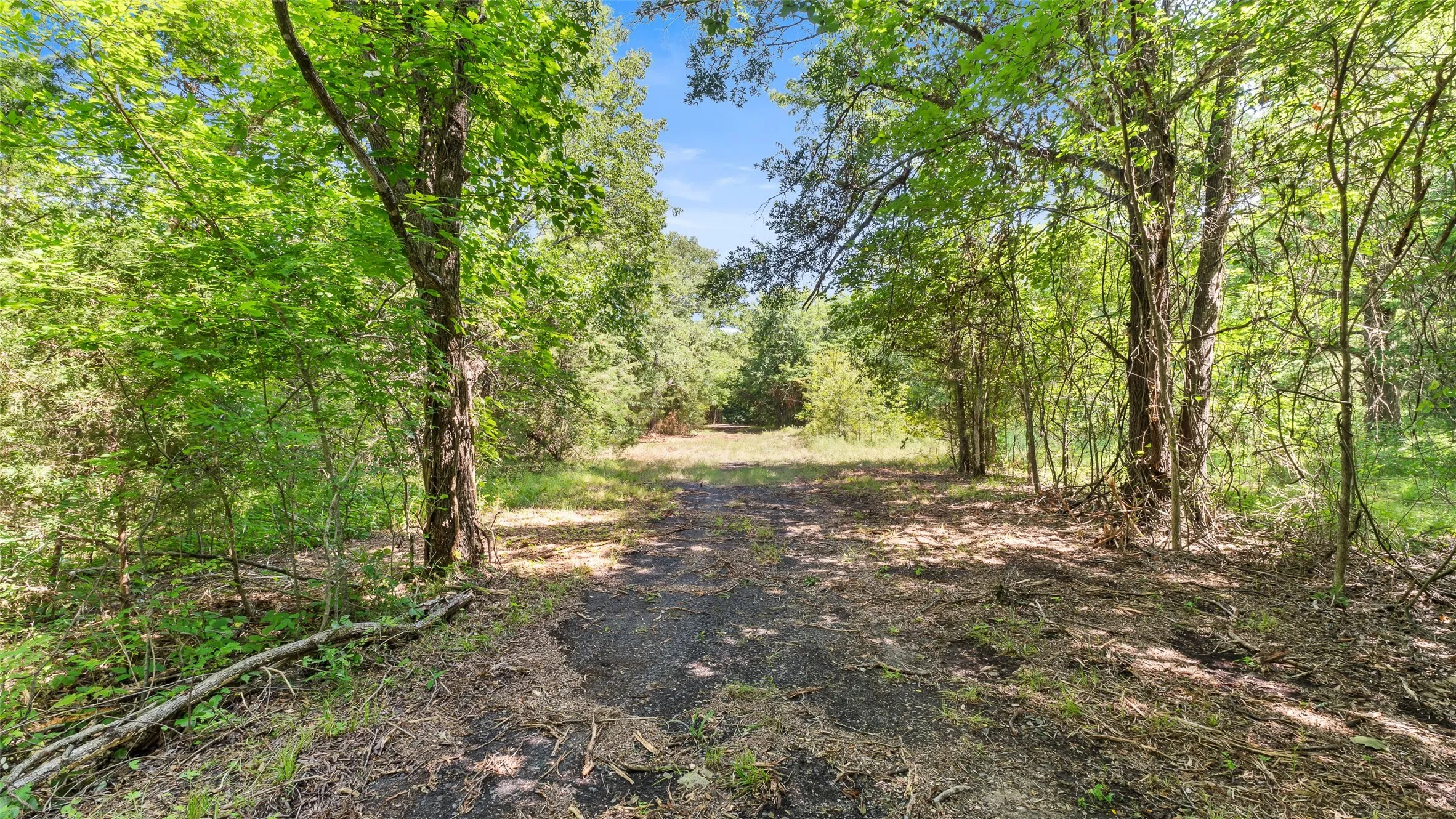 Unimproved Land For Sale in Hopkins County , 289 County Road 4586, Sulphur Springs, Texas 75482, 0, 0, Garage spaces, 0 Sqft, built in 0, Price $520,000, mls#20998497, Real Estate Agent in Sulphur Springs, Homes For Sale in Hopkins county, Homes For Sale in Sulphur Springs, Realtor in Sulphur Springs Texas, Real Estate Brokerage Independent Realty Texas, Luminita Cordes Realtor
