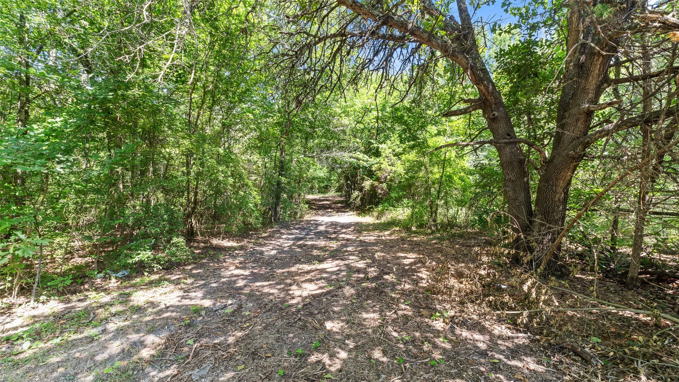 Unimproved Land For Sale in Hopkins County , 289 County Road 4586, Sulphur Springs, Texas 75482, 0, 0, Garage spaces, 0 Sqft, built in 0, Price $520,000, mls#20998497, Real Estate Agent in Sulphur Springs, Homes For Sale in Hopkins county, Homes For Sale in Sulphur Springs, Realtor in Sulphur Springs Texas, Real Estate Brokerage Independent Realty Texas, Luminita Cordes Realtor