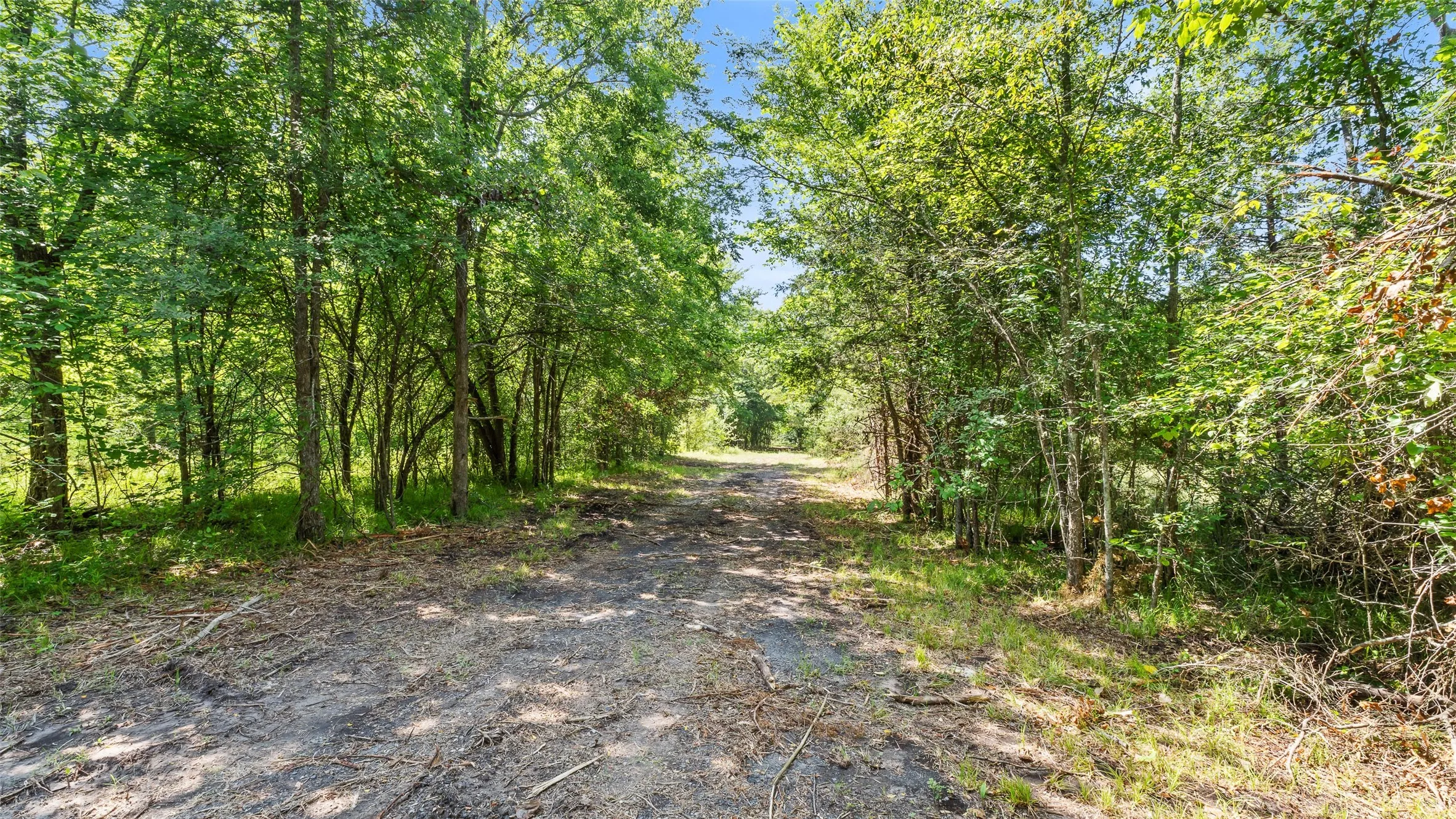 Unimproved Land For Sale in Hopkins County , 289 County Road 4586, Sulphur Springs, Texas 75482, 0, 0, Garage spaces, 0 Sqft, built in 0, Price $520,000, mls#20998497, Real Estate Agent in Sulphur Springs, Homes For Sale in Hopkins county, Homes For Sale in Sulphur Springs, Realtor in Sulphur Springs Texas, Real Estate Brokerage Independent Realty Texas, Luminita Cordes Realtor