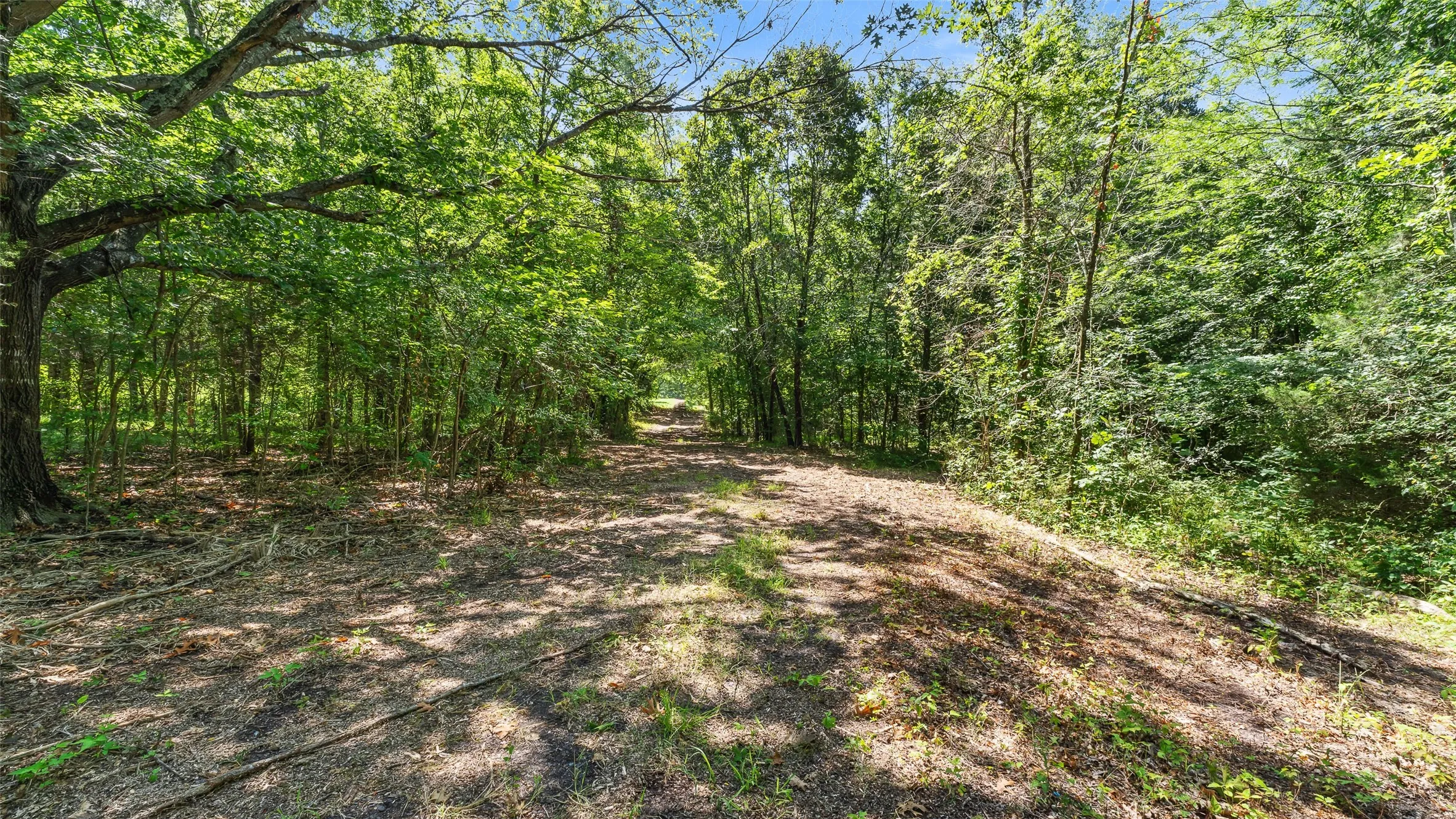 Unimproved Land For Sale in Hopkins County , 289 County Road 4586, Sulphur Springs, Texas 75482, 0, 0, Garage spaces, 0 Sqft, built in 0, Price $520,000, mls#20998497, Real Estate Agent in Sulphur Springs, Homes For Sale in Hopkins county, Homes For Sale in Sulphur Springs, Realtor in Sulphur Springs Texas, Real Estate Brokerage Independent Realty Texas, Luminita Cordes Realtor