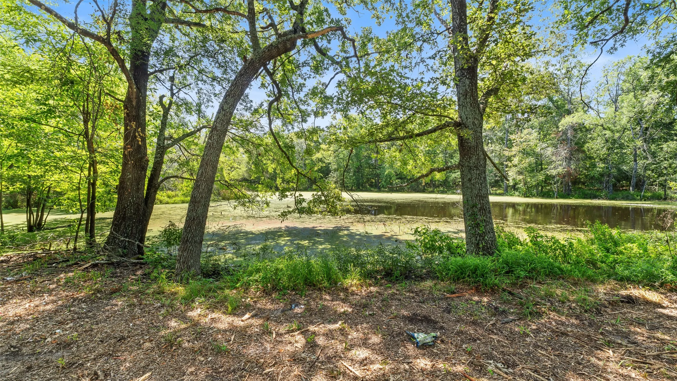 Unimproved Land For Sale in Hopkins County , 289 County Road 4586, Sulphur Springs, Texas 75482, 0, 0, Garage spaces, 0 Sqft, built in 0, Price $520,000, mls#20998497, Real Estate Agent in Sulphur Springs, Homes For Sale in Hopkins county, Homes For Sale in Sulphur Springs, Realtor in Sulphur Springs Texas, Real Estate Brokerage Independent Realty Texas, Luminita Cordes Realtor