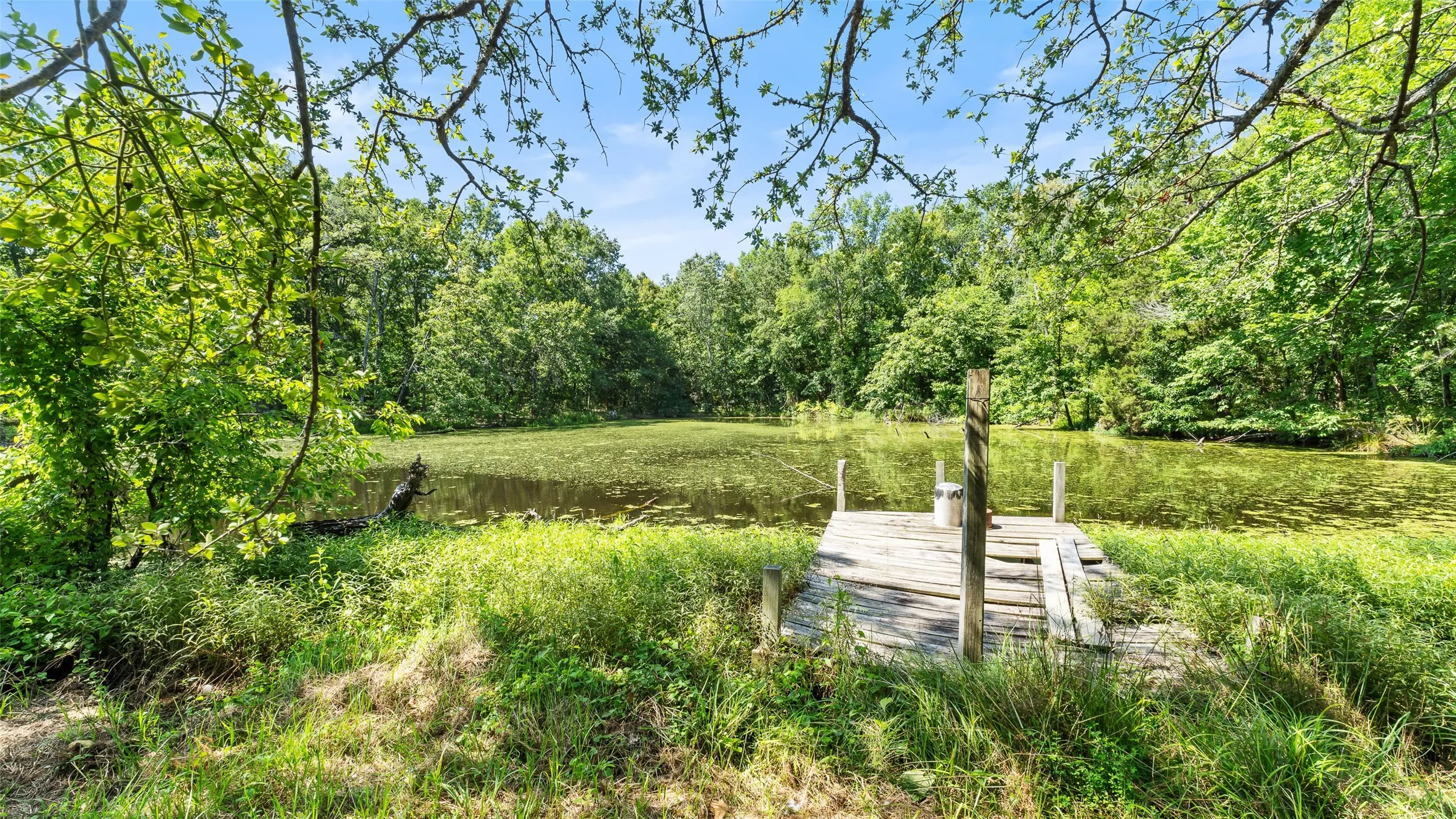 Unimproved Land For Sale in Hopkins County , 289 County Road 4586, Sulphur Springs, Texas 75482, 0, 0, Garage spaces, 0 Sqft, built in 0, Price $520,000, mls#20998497, Real Estate Agent in Sulphur Springs, Homes For Sale in Hopkins county, Homes For Sale in Sulphur Springs, Realtor in Sulphur Springs Texas, Real Estate Brokerage Independent Realty Texas, Luminita Cordes Realtor