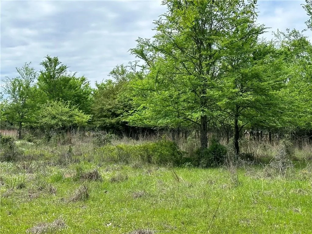 View of undeveloped land