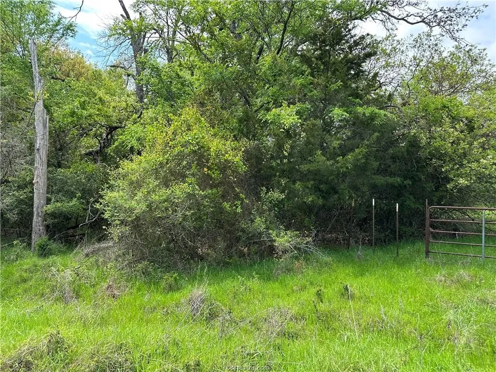 View of undeveloped land
