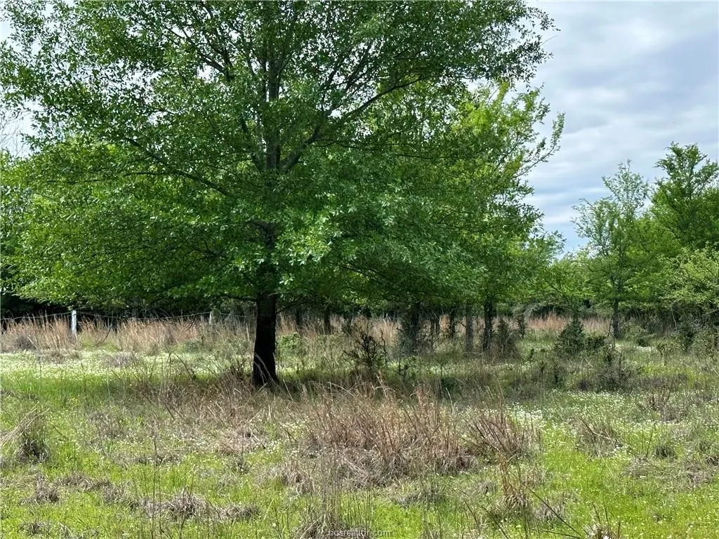 View of nature
