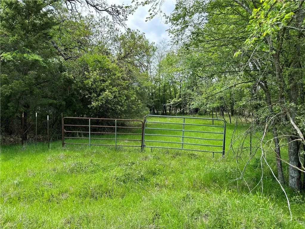 Unimproved Land For Sale in Robertson County , 00 Hickory Loop Road, Thornton, Texas 76687, 0, 0, Garage spaces, 0 Sqft, built in 0, Price $75,000, mls#20995656, Real Estate Agent in Thornton, Homes For Sale in Robertson county, Homes For Sale in Thornton, Realtor in Thornton Texas, Real Estate Brokerage Independent Realty Texas, Luminita Cordes Realtor
