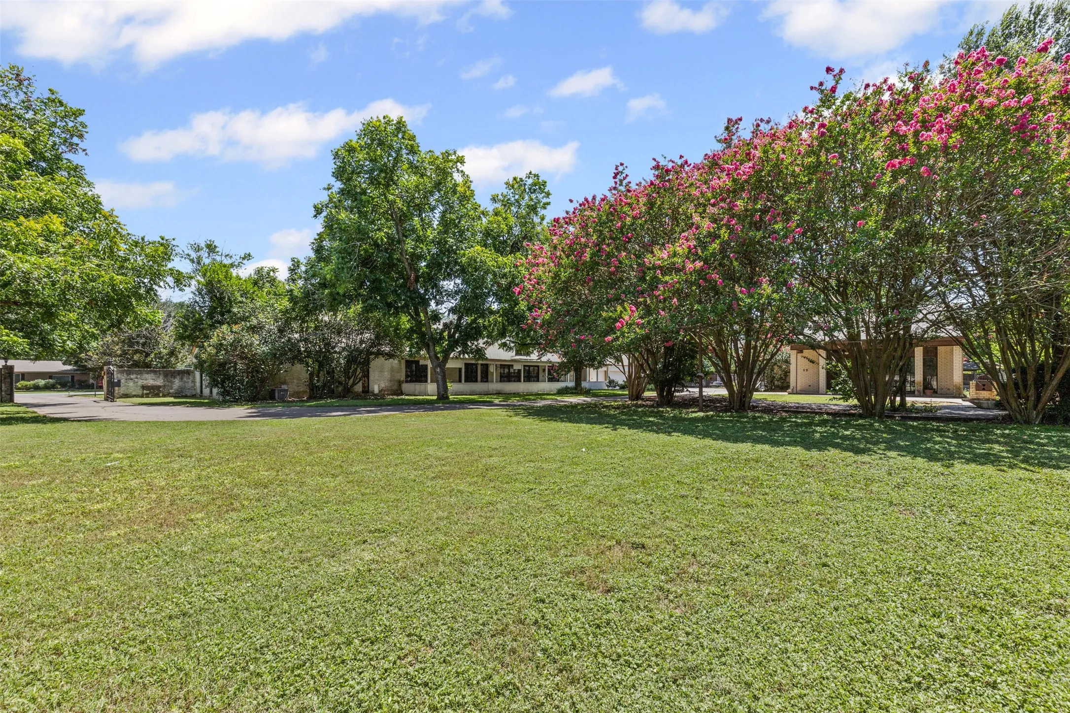 View of green lawn