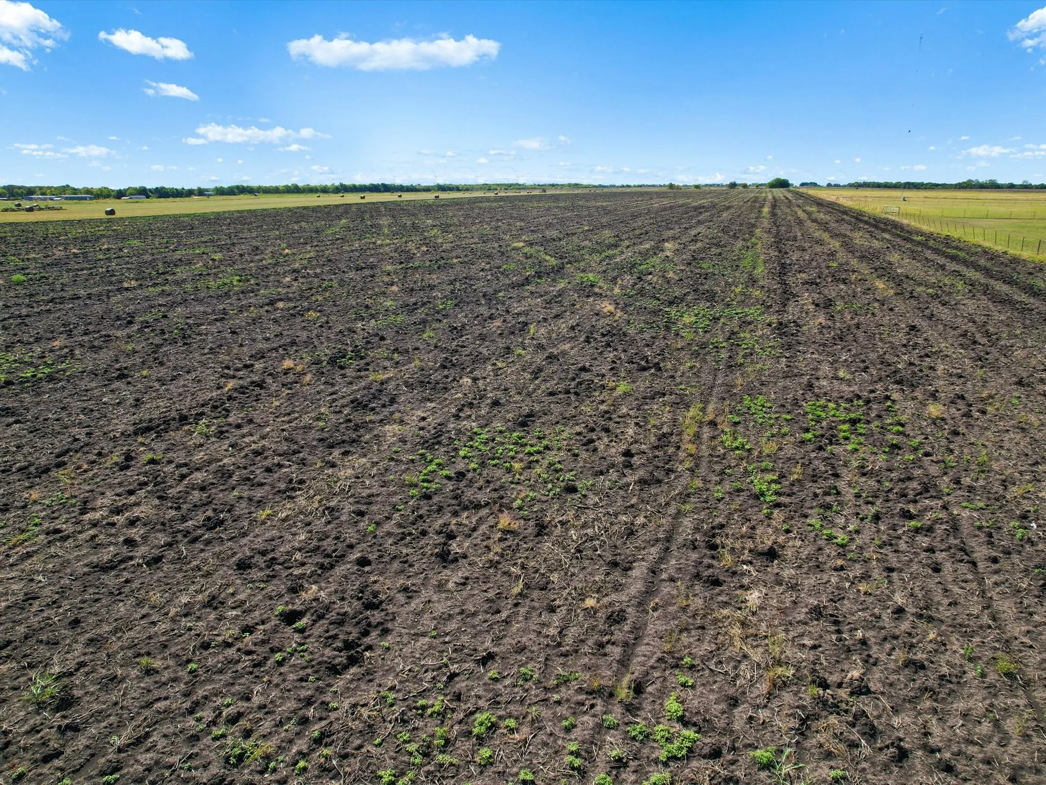 Unimproved Land For Sale in Grayson County , TBD FM-697 Highway, Whitewright, Texas 75491, 0, 0, Garage spaces, 0 Sqft, built in 0, mls#20999181, Real Estate Agent in Whitewright, Homes For Sale in Grayson county, Homes For Sale in Whitewright, Realtor in Whitewright Texas, Real Estate Brokerage Independent Realty Texas, Luminita Cordes Realtor