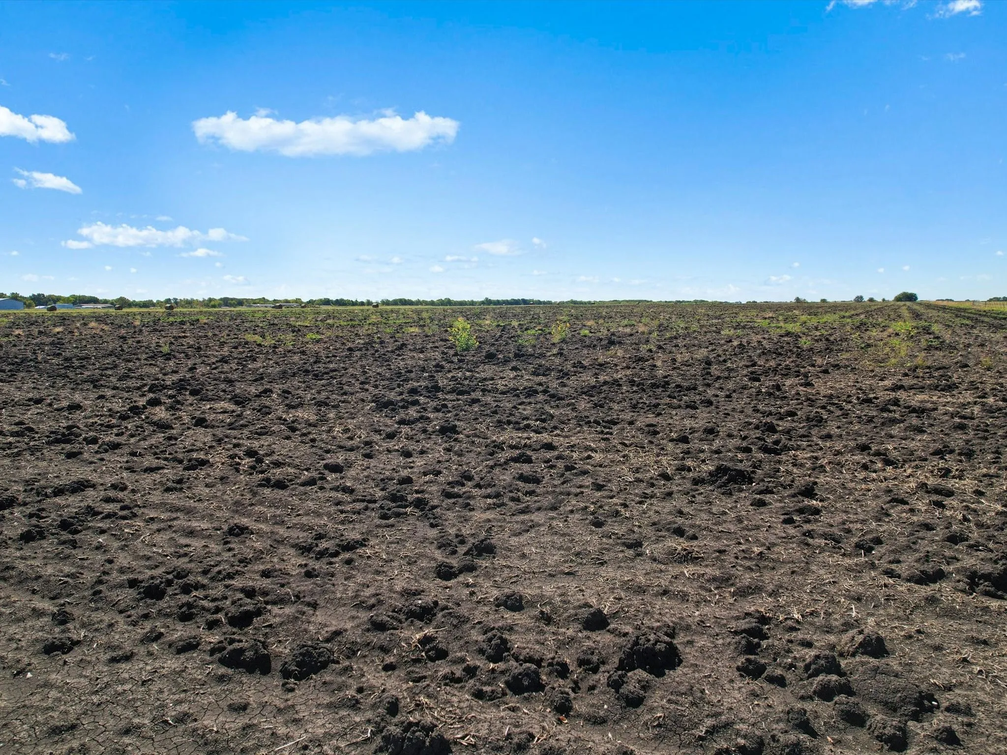 Unimproved Land For Sale in Grayson County , TBD FM-697 Highway, Whitewright, Texas 75491, 0, 0, Garage spaces, 0 Sqft, built in 0, mls#20999181, Real Estate Agent in Whitewright, Homes For Sale in Grayson county, Homes For Sale in Whitewright, Realtor in Whitewright Texas, Real Estate Brokerage Independent Realty Texas, Luminita Cordes Realtor