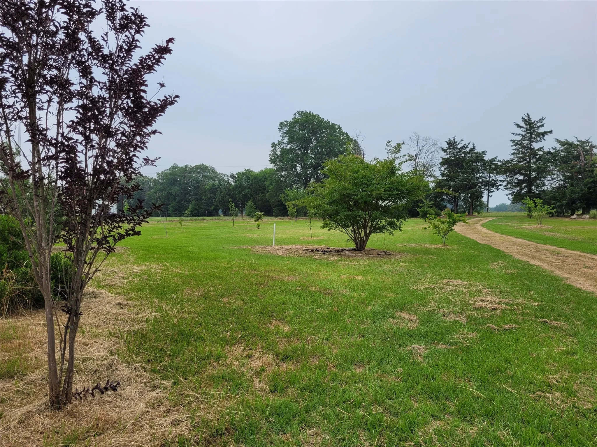 Single Family Residence For Sale in Lamar County , 700 CR 45900, Detroit, Texas 75436, 3 Bedroom, 2 Bathroom, Garage spaces, 1,598 Sqft, built in 2016, Preowned, mls#20999382, Real Estate Agent in Detroit, Homes For Sale in Lamar county, Homes For Sale in Detroit, Realtor in Detroit Texas, Real Estate Brokerage Independent Realty Texas, Luminita Cordes Realtor