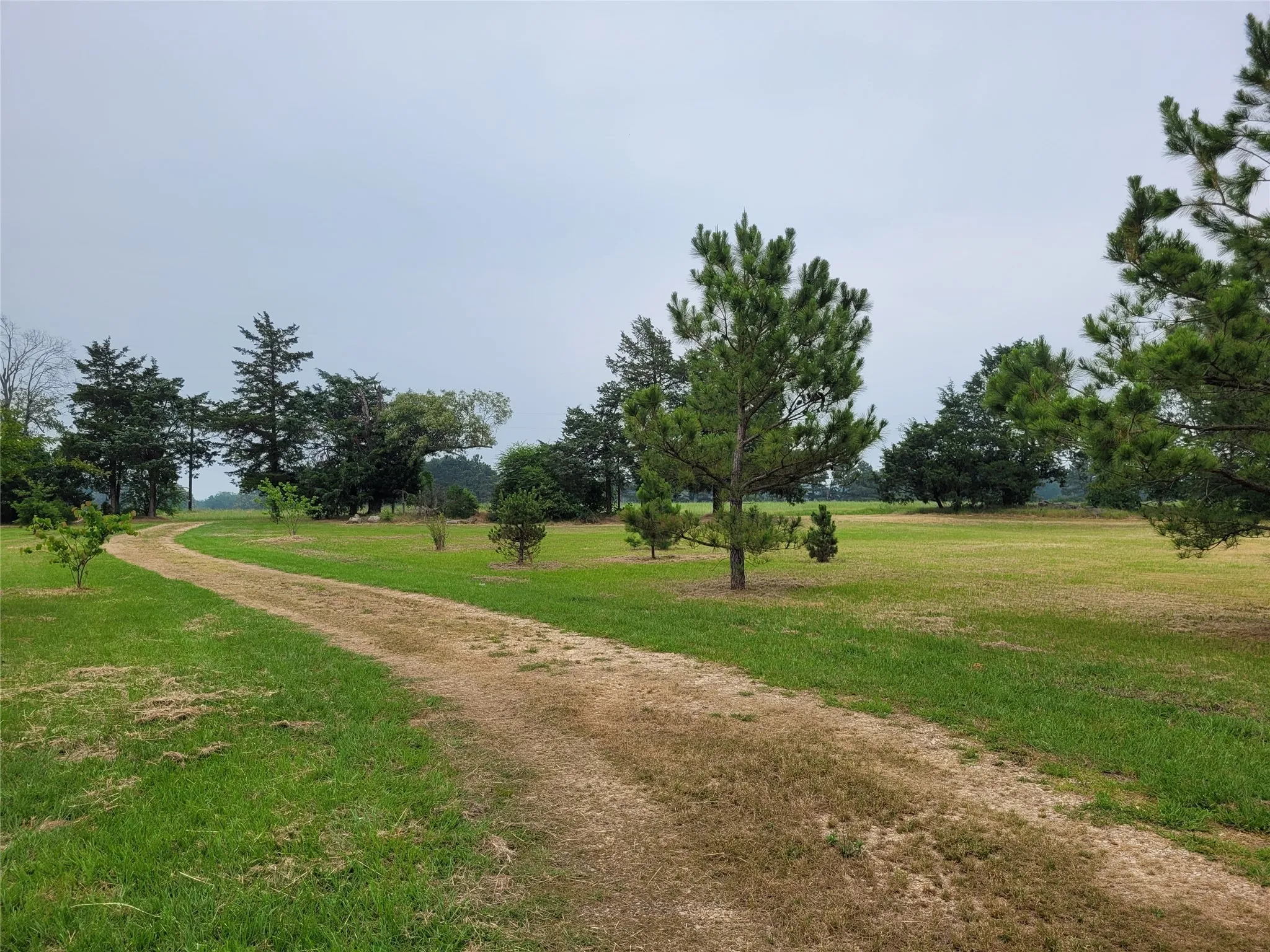Single Family Residence For Sale in Lamar County , 700 CR 45900, Detroit, Texas 75436, 3 Bedroom, 2 Bathroom, Garage spaces, 1,598 Sqft, built in 2016, Preowned, mls#20999382, Real Estate Agent in Detroit, Homes For Sale in Lamar county, Homes For Sale in Detroit, Realtor in Detroit Texas, Real Estate Brokerage Independent Realty Texas, Luminita Cordes Realtor