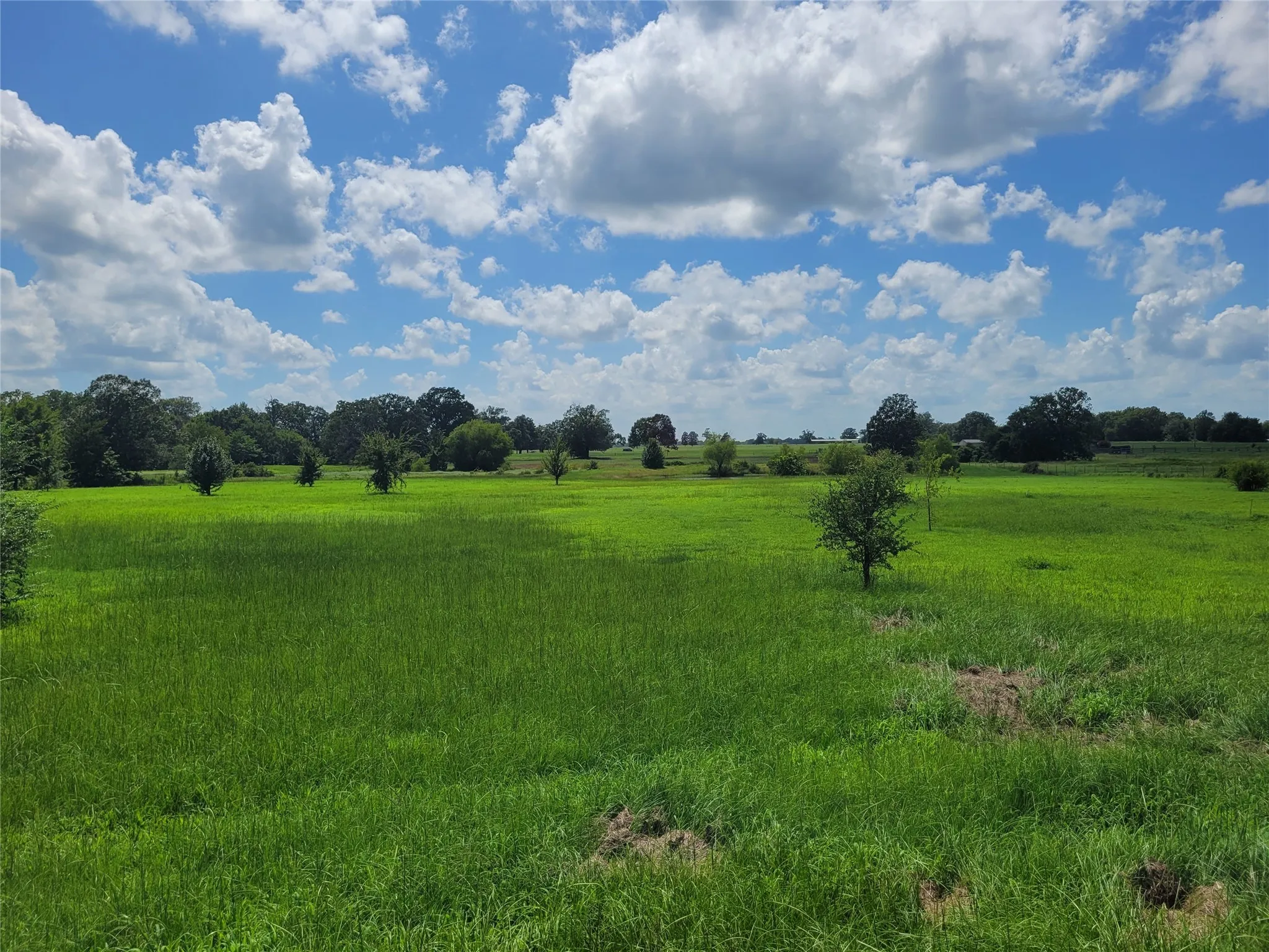 Single Family Residence For Sale in Lamar County , 700 CR 45900, Detroit, Texas 75436, 3 Bedroom, 2 Bathroom, Garage spaces, 1,598 Sqft, built in 2016, Preowned, mls#20999382, Real Estate Agent in Detroit, Homes For Sale in Lamar county, Homes For Sale in Detroit, Realtor in Detroit Texas, Real Estate Brokerage Independent Realty Texas, Luminita Cordes Realtor