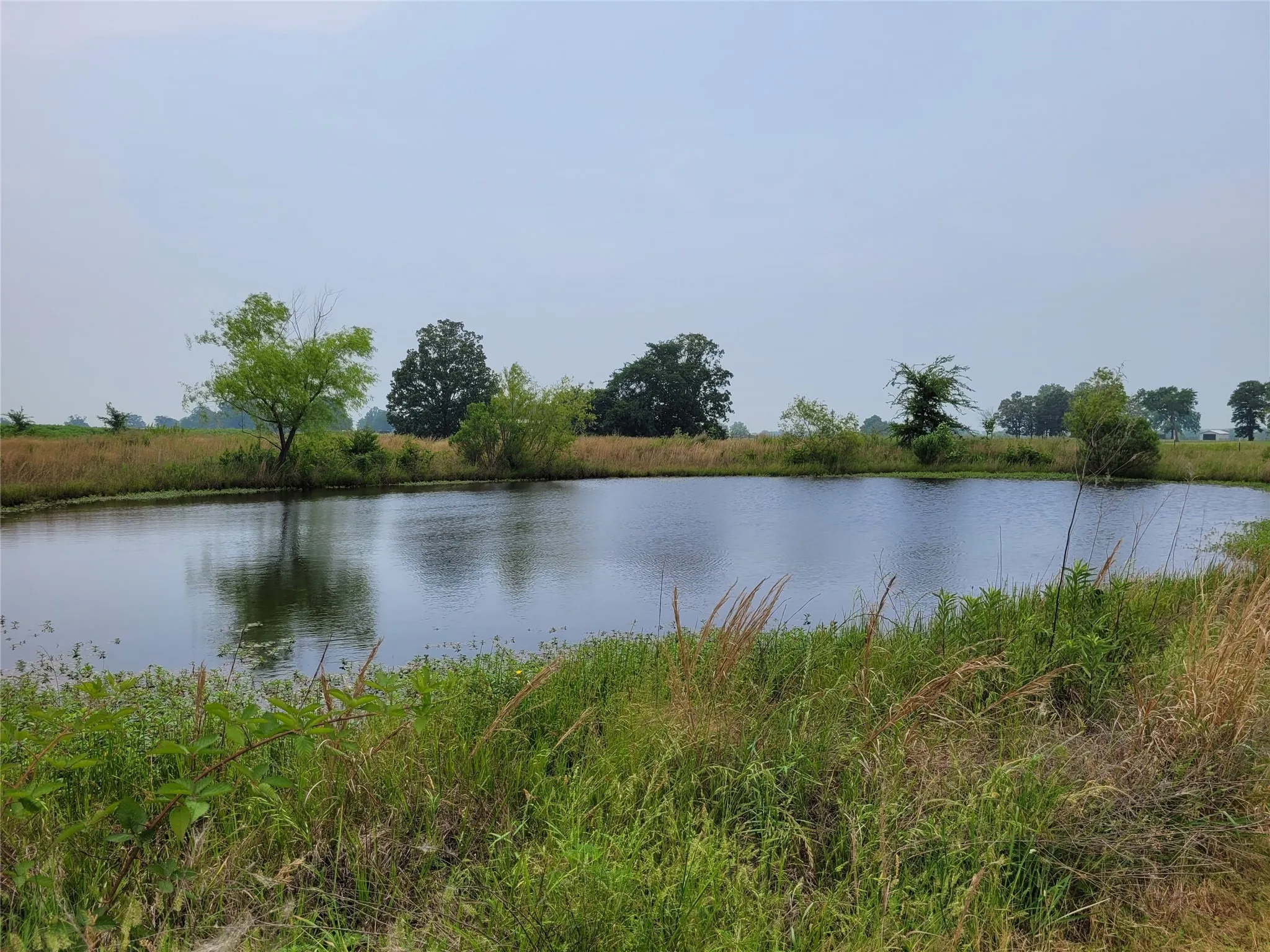 Single Family Residence For Sale in Lamar County , 700 CR 45900, Detroit, Texas 75436, 3 Bedroom, 2 Bathroom, Garage spaces, 1,598 Sqft, built in 2016, Preowned, mls#20999382, Real Estate Agent in Detroit, Homes For Sale in Lamar county, Homes For Sale in Detroit, Realtor in Detroit Texas, Real Estate Brokerage Independent Realty Texas, Luminita Cordes Realtor