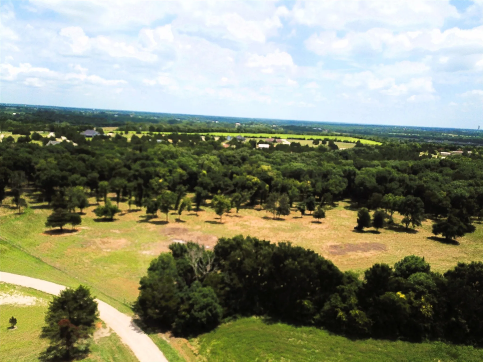 Unimproved Land For Sale in Grayson County , 1800 North Lincoln Park Road Road, Van Alstyne, Texas 75495, 0, 0, Garage spaces, 0 Sqft, built in 0, Price $690,000, mls#20998245, Real Estate Agent in Van Alstyne, Homes For Sale in Grayson county, Homes For Sale in Van Alstyne, Realtor in Van Alstyne Texas, Real Estate Brokerage Independent Realty Texas, Luminita Cordes Realtor