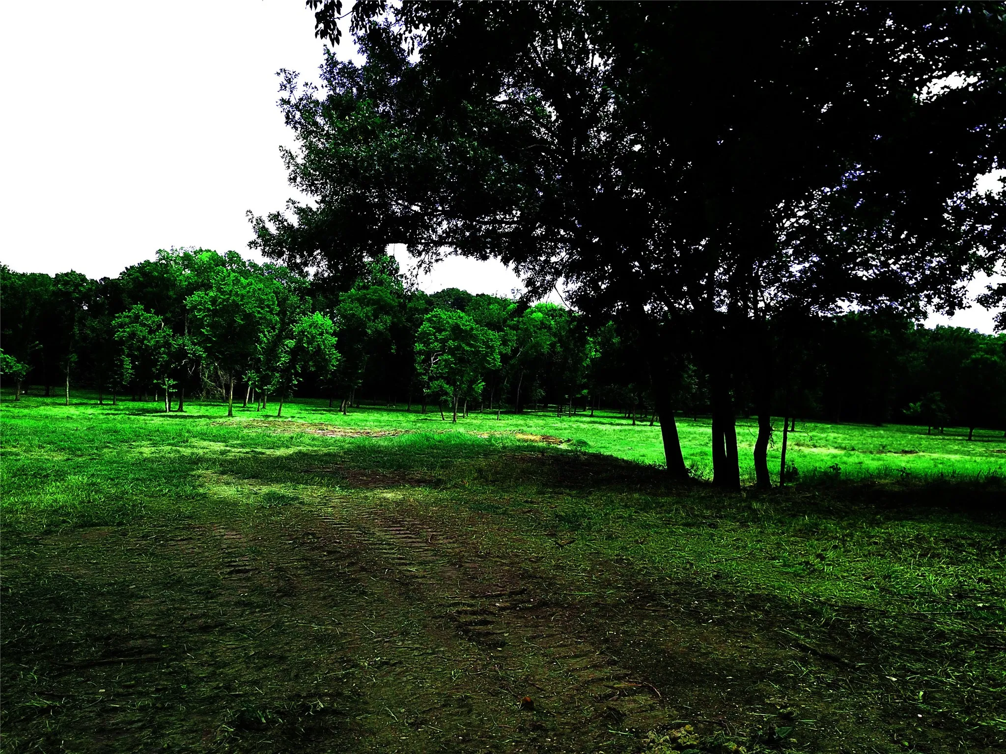 Unimproved Land For Sale in Grayson County , 1800 North Lincoln Park Road Road, Van Alstyne, Texas 75495, 0, 0, Garage spaces, 0 Sqft, built in 0, Price $690,000, mls#20998245, Real Estate Agent in Van Alstyne, Homes For Sale in Grayson county, Homes For Sale in Van Alstyne, Realtor in Van Alstyne Texas, Real Estate Brokerage Independent Realty Texas, Luminita Cordes Realtor