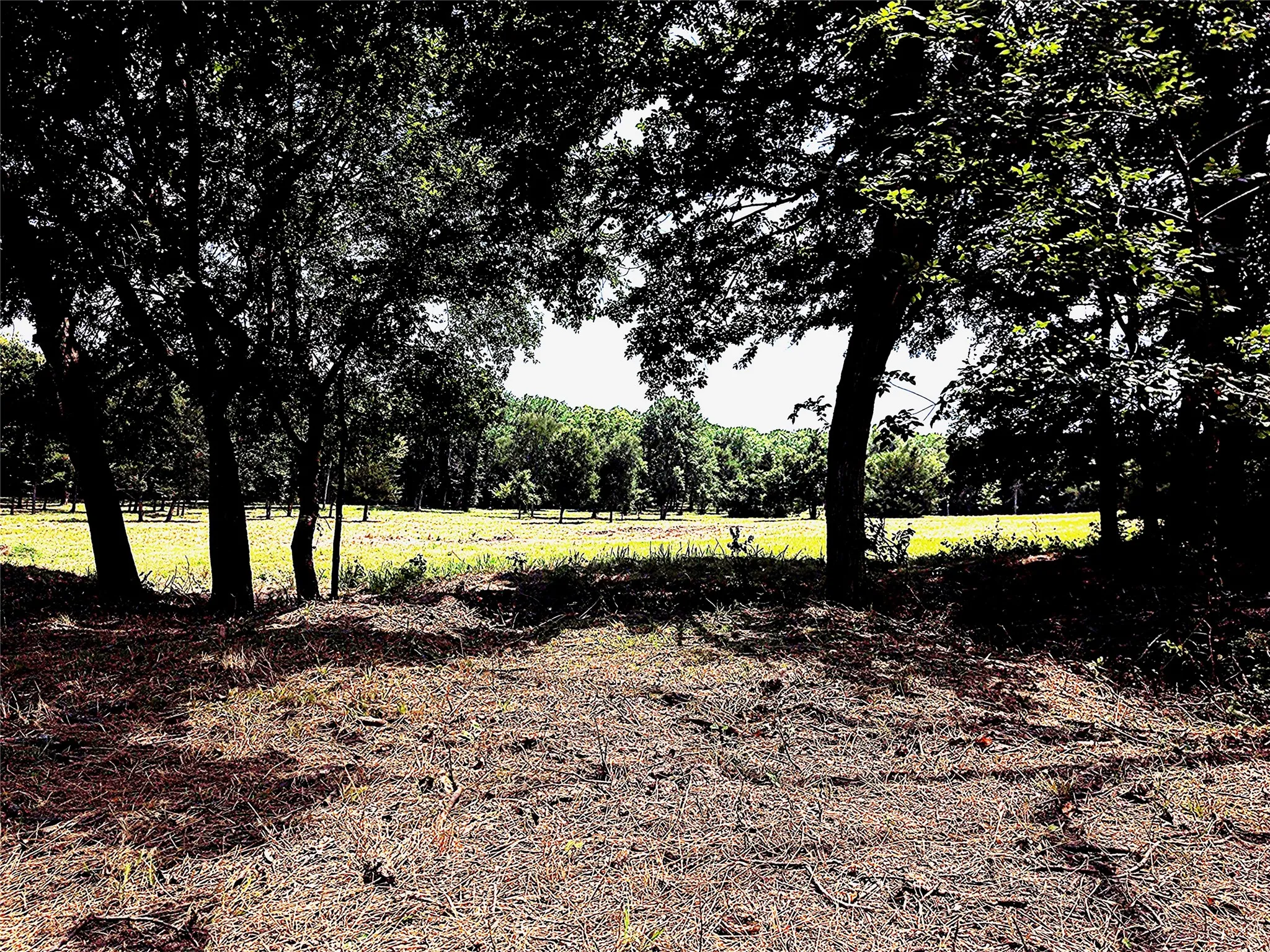 Unimproved Land For Sale in Grayson County , 1800 North Lincoln Park Road Road, Van Alstyne, Texas 75495, 0, 0, Garage spaces, 0 Sqft, built in 0, Price $690,000, mls#20998245, Real Estate Agent in Van Alstyne, Homes For Sale in Grayson county, Homes For Sale in Van Alstyne, Realtor in Van Alstyne Texas, Real Estate Brokerage Independent Realty Texas, Luminita Cordes Realtor