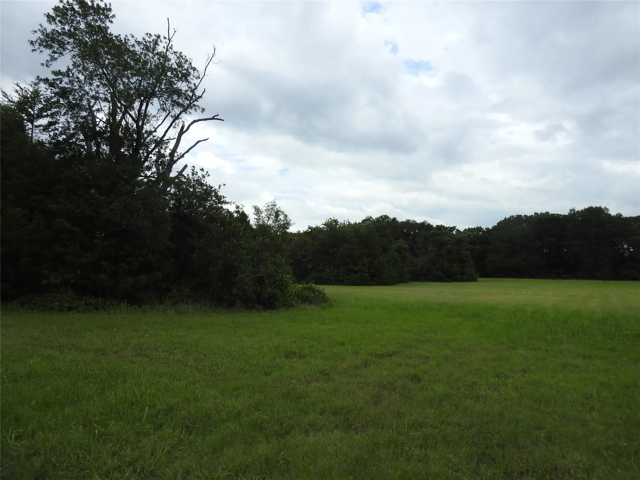 Improved Land For Sale in Fannin County , 000 hwy 78 N, Bonham, Texas 75418, 0, 0, Garage spaces, 0 Sqft, built in 0, mls#21000220, Real Estate Agent in Bonham, Homes For Sale in Fannin county, Homes For Sale in Bonham, Realtor in Bonham Texas, Real Estate Brokerage Independent Realty Texas, Luminita Cordes Realtor