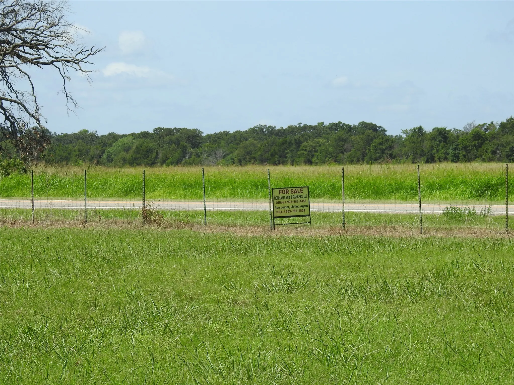 Improved Land For Sale in Fannin County , 000 hwy 78 N, Bonham, Texas 75418, 0, 0, Garage spaces, 0 Sqft, built in 0, mls#21000220, Real Estate Agent in Bonham, Homes For Sale in Fannin county, Homes For Sale in Bonham, Realtor in Bonham Texas, Real Estate Brokerage Independent Realty Texas, Luminita Cordes Realtor