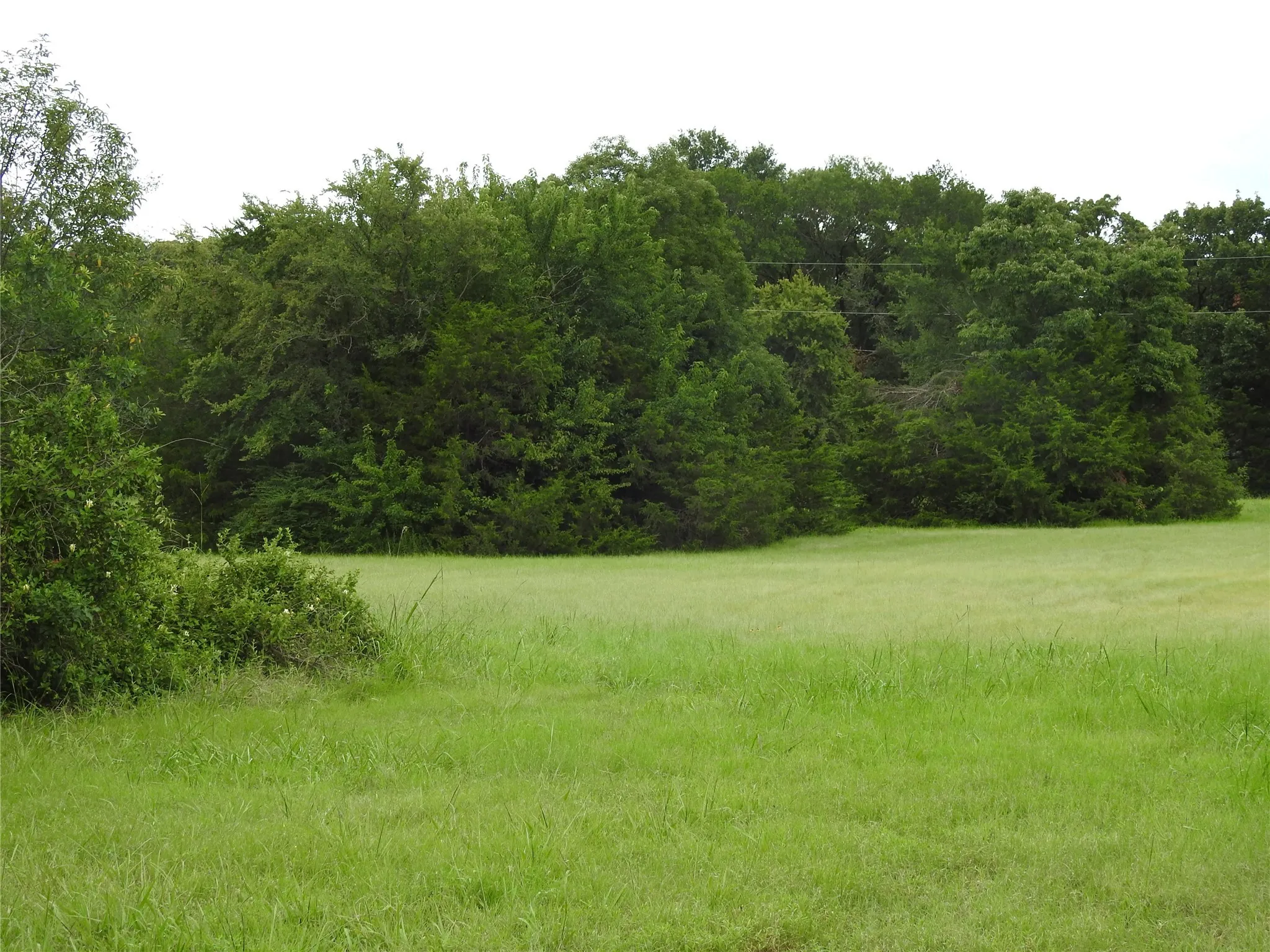 Improved Land For Sale in Fannin County , 000 hwy 78 N, Bonham, Texas 75418, 0, 0, Garage spaces, 0 Sqft, built in 0, mls#21000220, Real Estate Agent in Bonham, Homes For Sale in Fannin county, Homes For Sale in Bonham, Realtor in Bonham Texas, Real Estate Brokerage Independent Realty Texas, Luminita Cordes Realtor