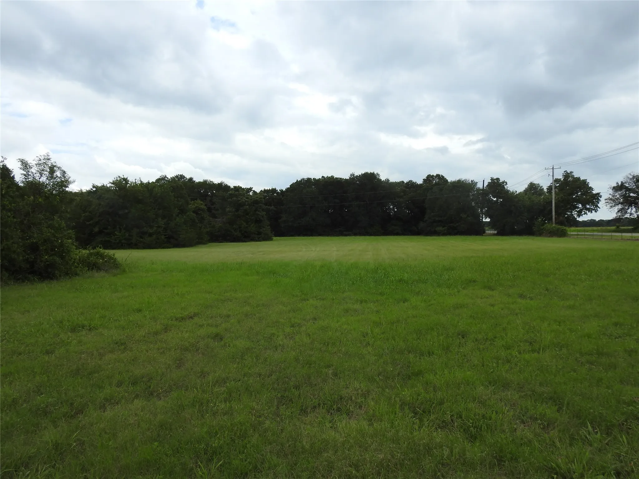 Grass and tree line straight ahead, clear across the field and to the Hwy.