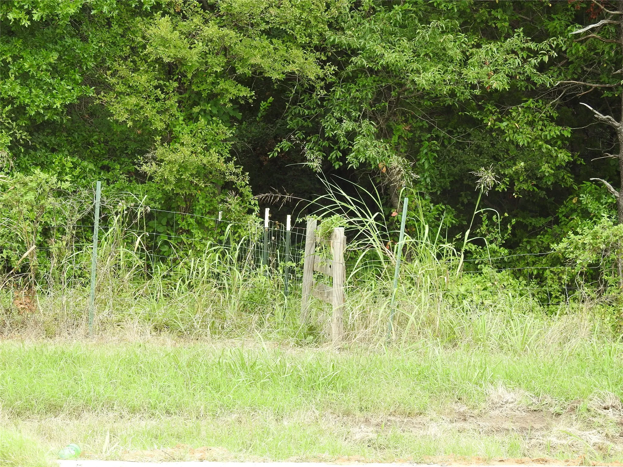 South property line.