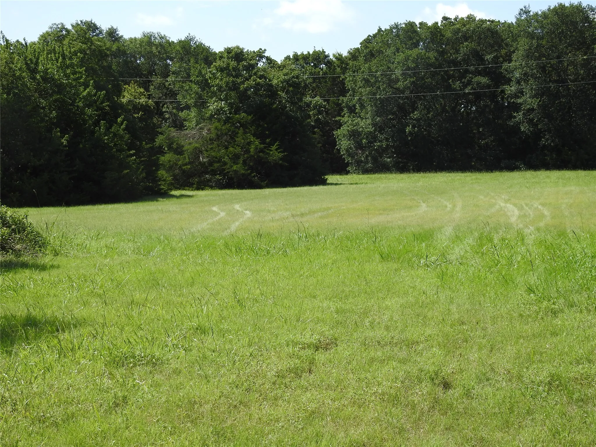 Improved Land For Sale in Fannin County , 000 hwy 78 N, Bonham, Texas 75418, 0, 0, Garage spaces, 0 Sqft, built in 0, mls#21000220, Real Estate Agent in Bonham, Homes For Sale in Fannin county, Homes For Sale in Bonham, Realtor in Bonham Texas, Real Estate Brokerage Independent Realty Texas, Luminita Cordes Realtor