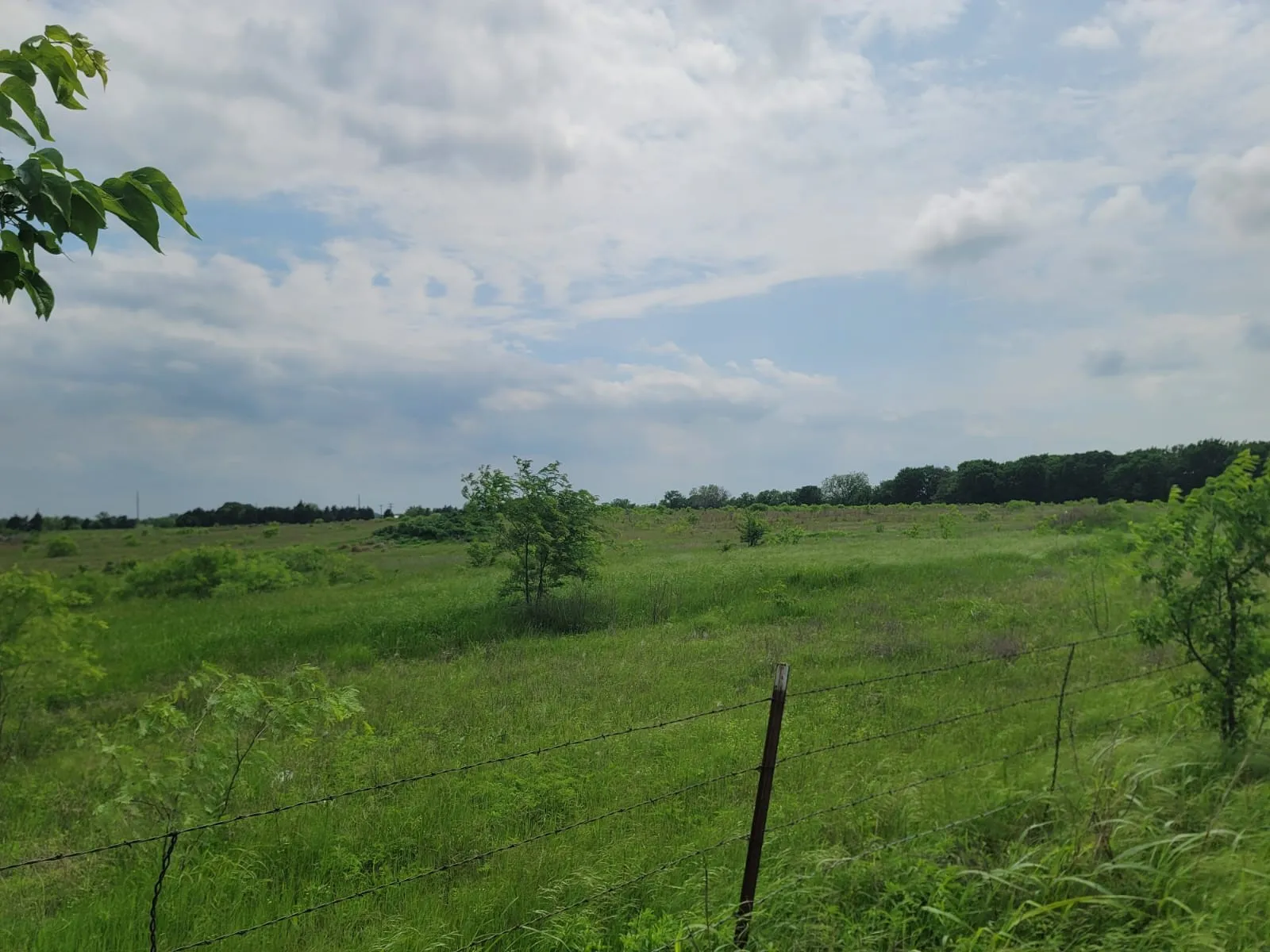 View of yard with a view of countryside