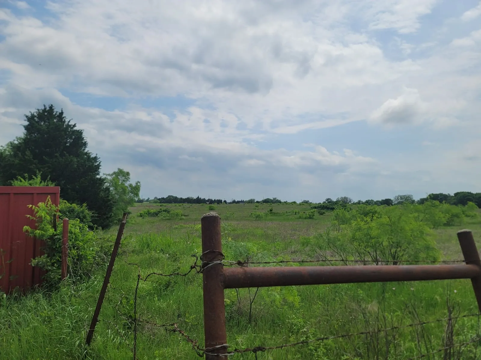 View of yard with a rural view