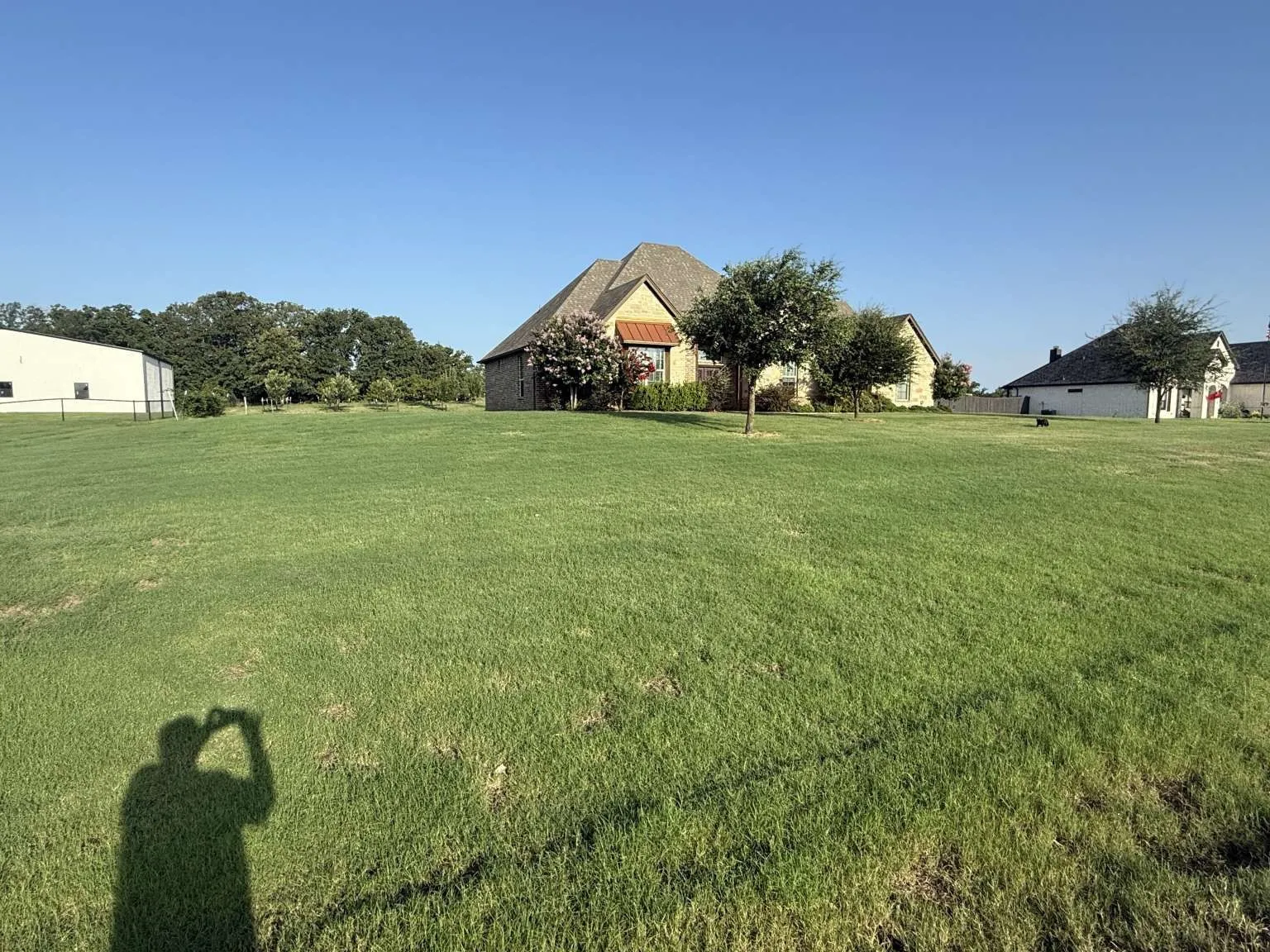 View of green lawn
