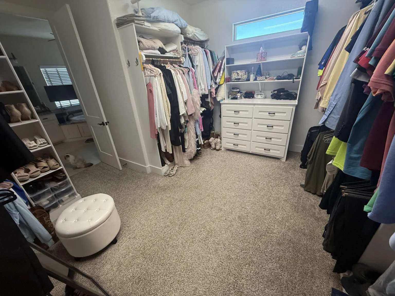Walk in closet with light carpet