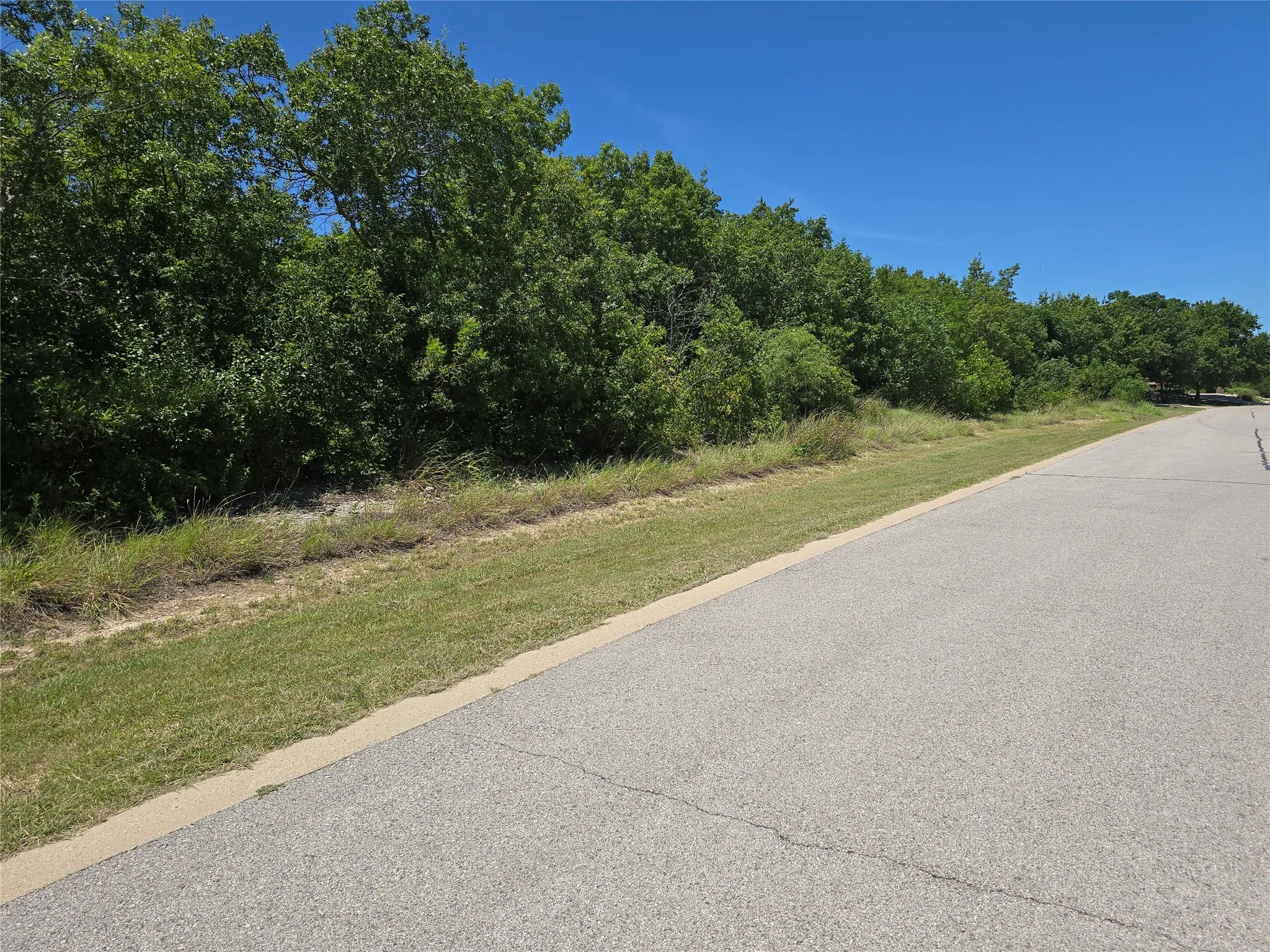 Street View of Front of Lot
