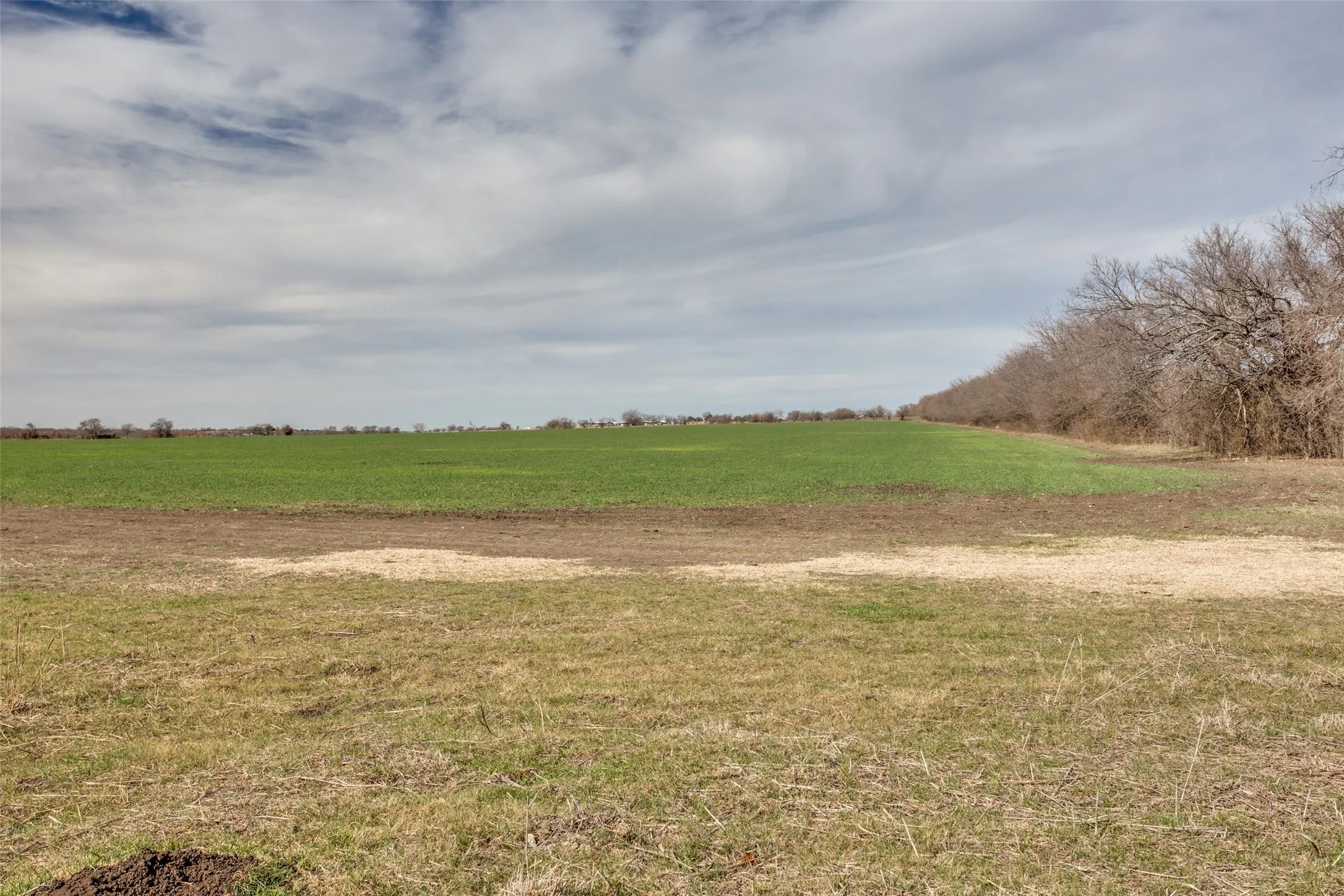 Unimproved Land For Sale in Johnson County , 4300 County Road 1224, Cleburne, Texas 76033, 0, 0, Garage spaces, 0 Sqft, built in 0, Price $8,394,511, mls#21004958, Real Estate Agent in Cleburne, Homes For Sale in Johnson county, Homes For Sale in Cleburne, Realtor in Cleburne Texas, Real Estate Brokerage Independent Realty Texas, Luminita Cordes Realtor