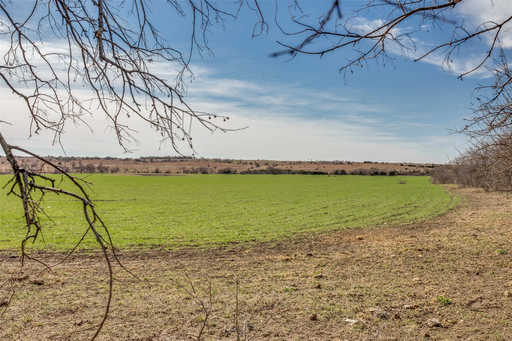 Unimproved Land For Sale in Johnson County , 4300 County Road 1224, Cleburne, Texas 76033, 0, 0, Garage spaces, 0 Sqft, built in 0, Price $8,394,511, mls#21004958, Real Estate Agent in Cleburne, Homes For Sale in Johnson county, Homes For Sale in Cleburne, Realtor in Cleburne Texas, Real Estate Brokerage Independent Realty Texas, Luminita Cordes Realtor