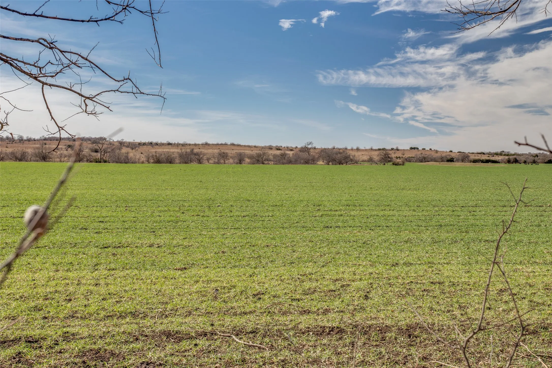 Unimproved Land For Sale in Johnson County , 4300 County Road 1224, Cleburne, Texas 76033, 0, 0, Garage spaces, 0 Sqft, built in 0, Price $8,394,511, mls#21004958, Real Estate Agent in Cleburne, Homes For Sale in Johnson county, Homes For Sale in Cleburne, Realtor in Cleburne Texas, Real Estate Brokerage Independent Realty Texas, Luminita Cordes Realtor